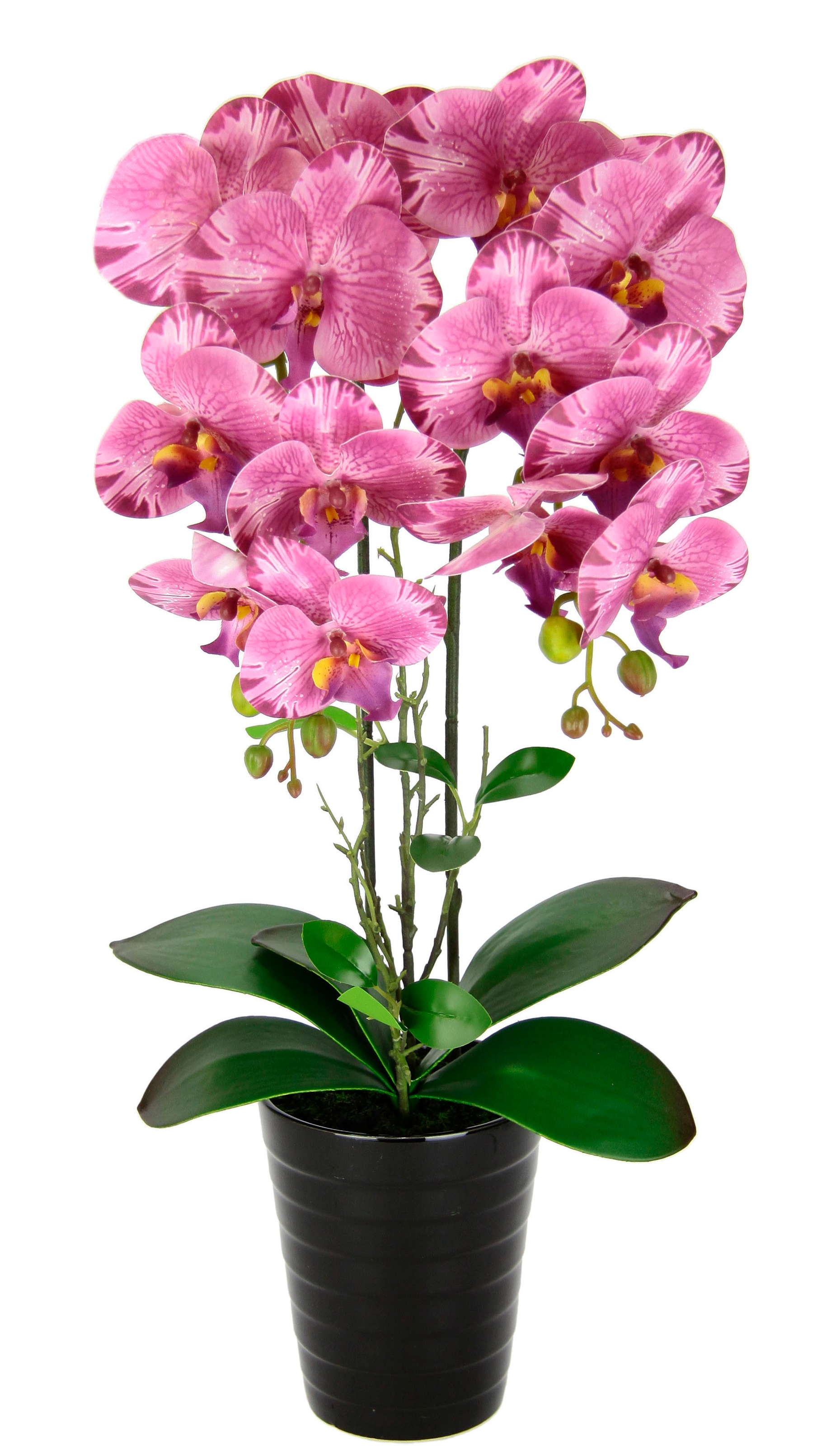 I.GE.A. Kunstblume "Orchidee", Im Topf Phalaenopsis Orchidee Phalaenopsis m günstig online kaufen