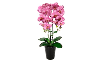 Kunstblume »Orchidee«