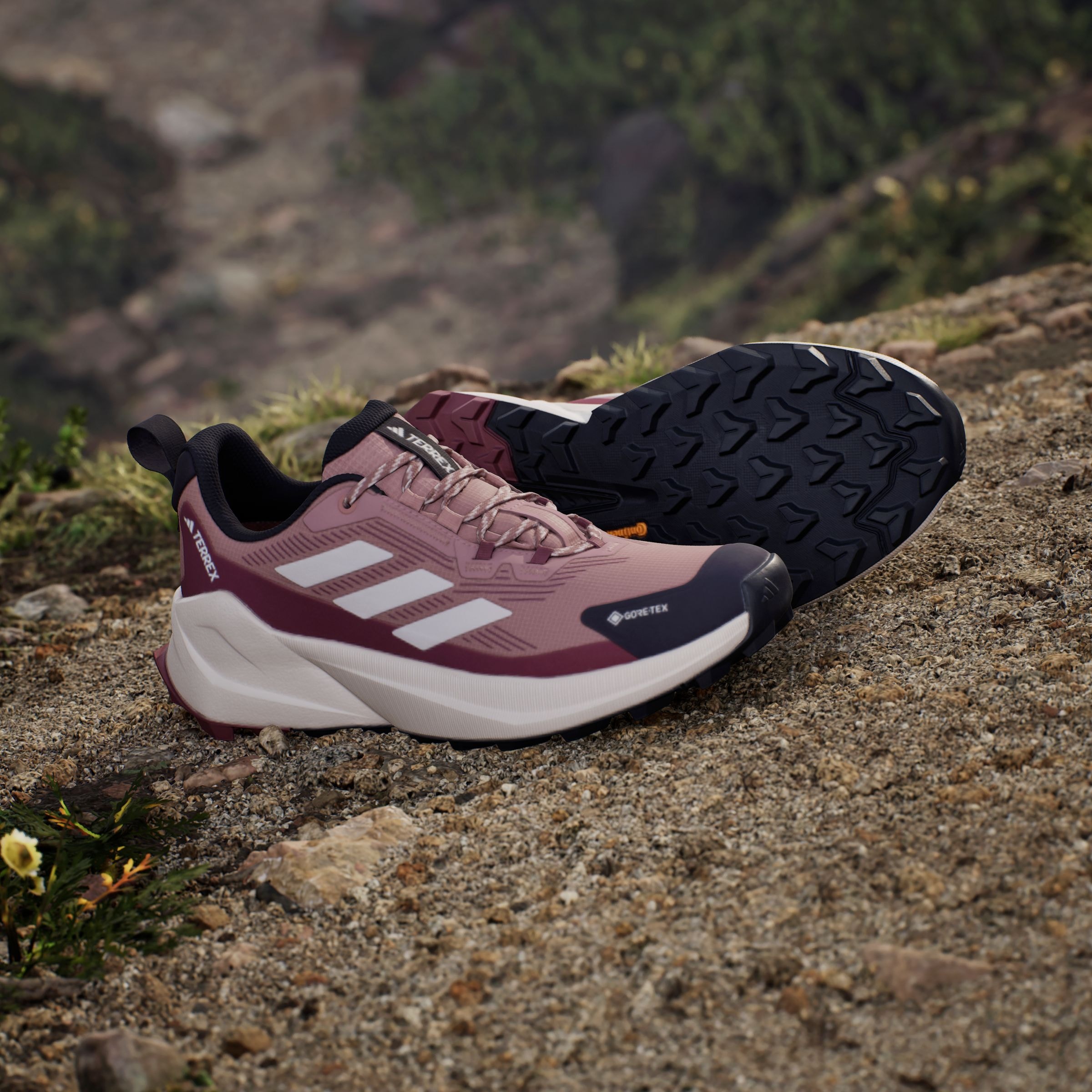 adidas TERREX Wanderschuh »TERREX TRAILMAKER 2.0 GORE-TEX«, wasserdicht