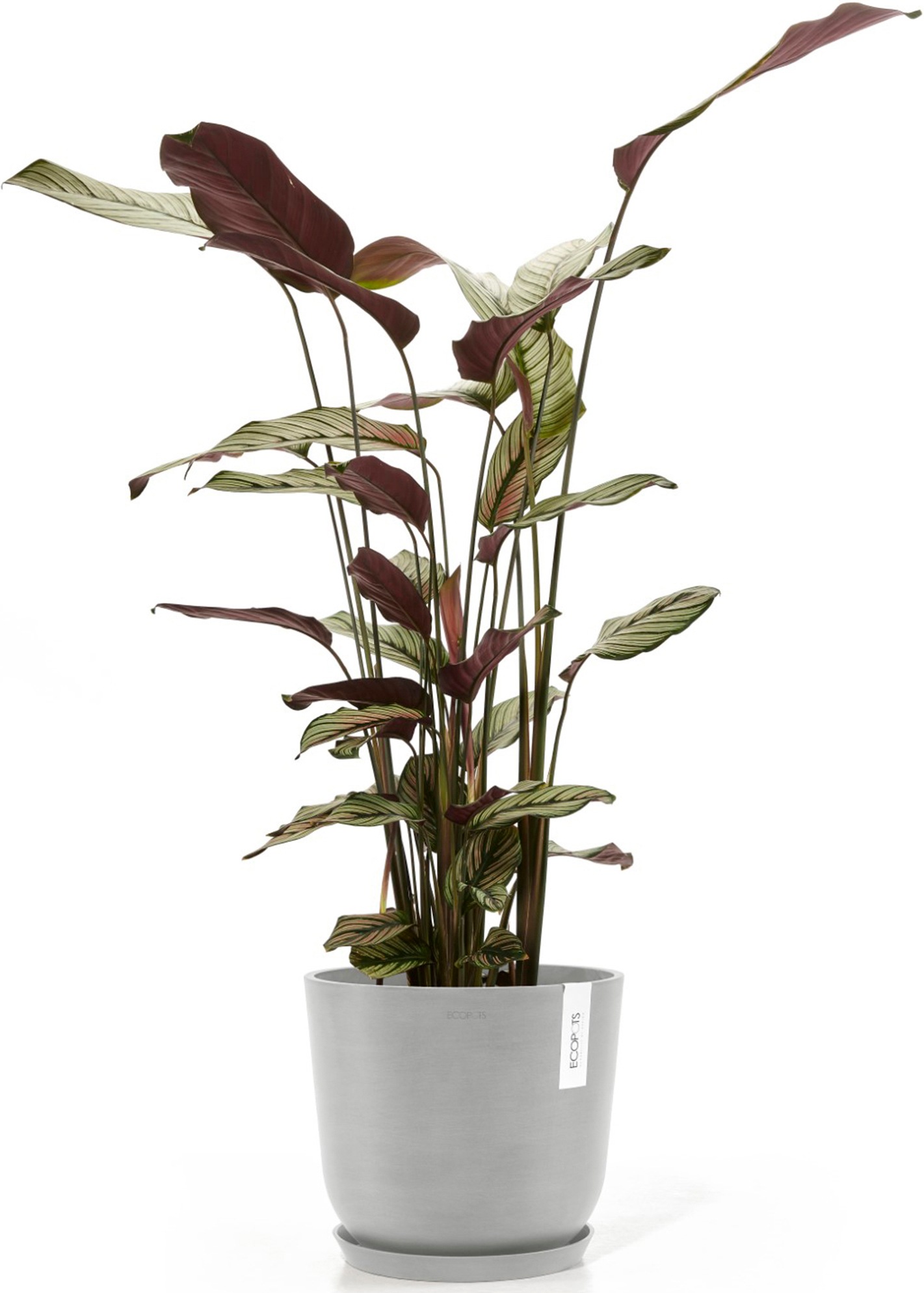 ECOPOTS Blumentopf »Oslo 25 + Wassersystem Weißgrau«, für innen und außen: frostsicher, bruchsicher und lichtbeständig
