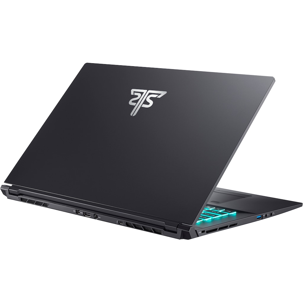 Hyrican Gaming-Notebook »Striker 1673«, 43,94 cm, / 17,3 Zoll, Intel, Core i7, GeForce RTX 3080, 1000 GB SSD