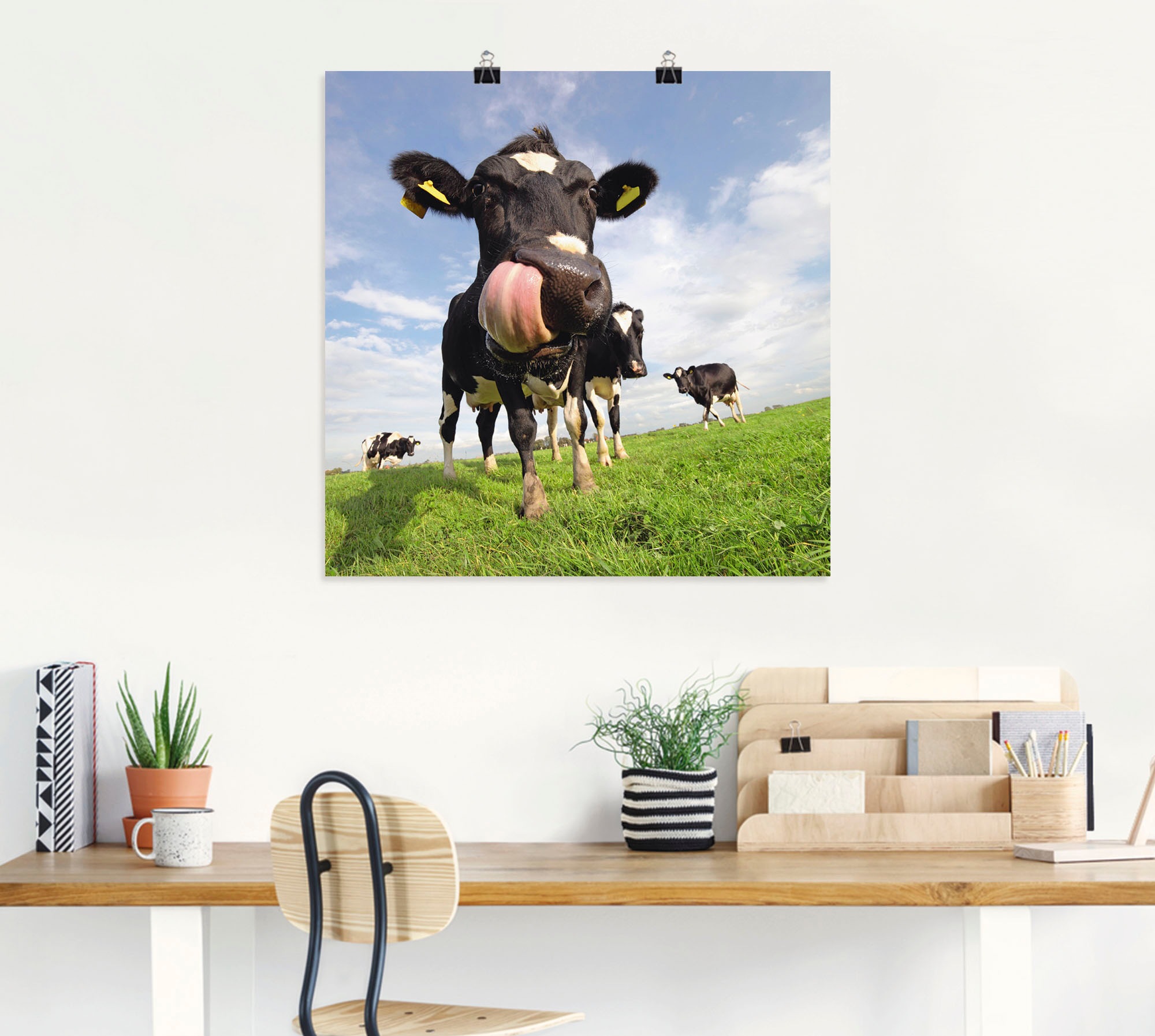 Artland Wandbild »Holstein-Kuh mit gewaltiger Zunge«, Haustiere, (1 St.), als Alubild, Outdoorbild, Leinwandbild, Poster, Wandaufkleber