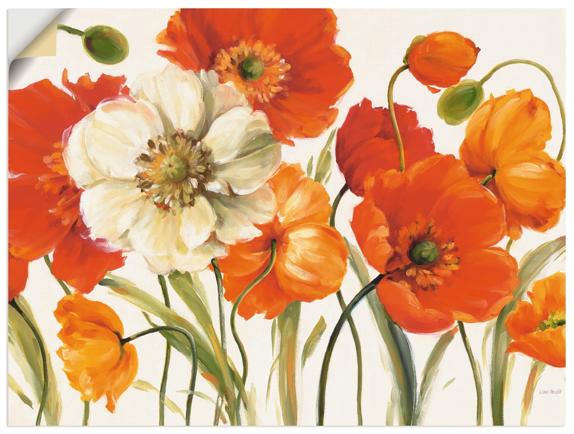 Artland Wandbild "Mohnblumen I", Blumen, (1 St.), als Leinwandbild, Poster, günstig online kaufen