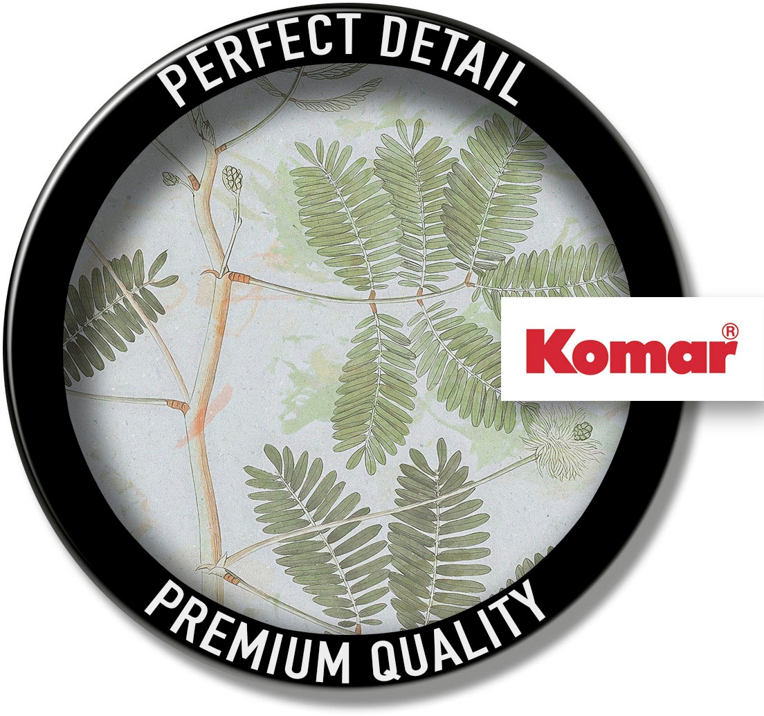 KOMAR Plant Art Triomphe de la nature Wall Art Blue 30x40cm 2
