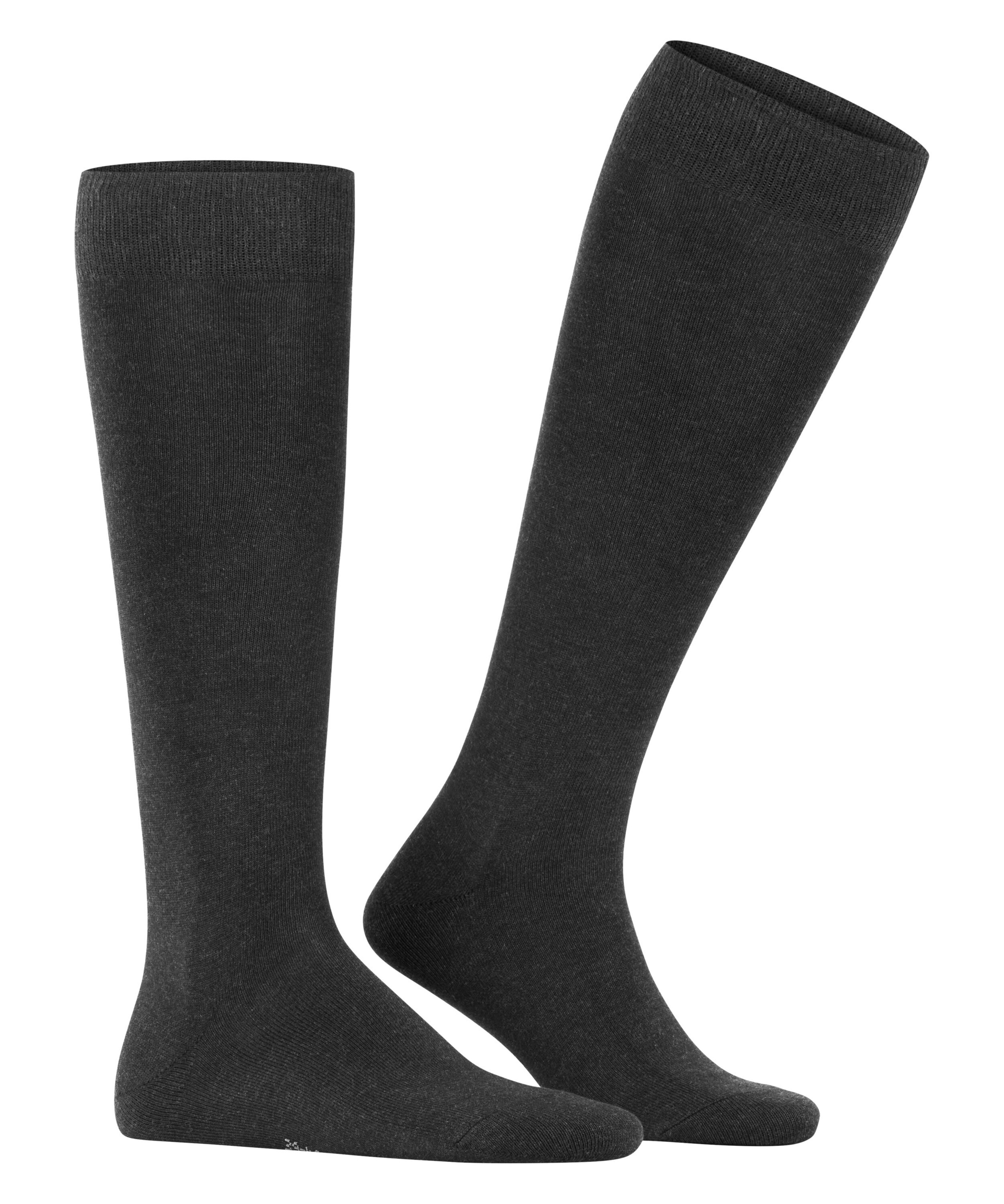FALKE Kniestrümpfe "Family" günstig online kaufen