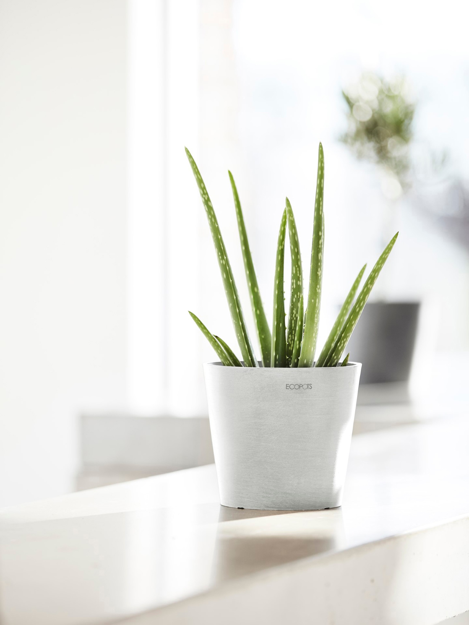 ECOPOTS Blumentopf »Amsterdam Mini 17 Weiß«, für den Innenbereich