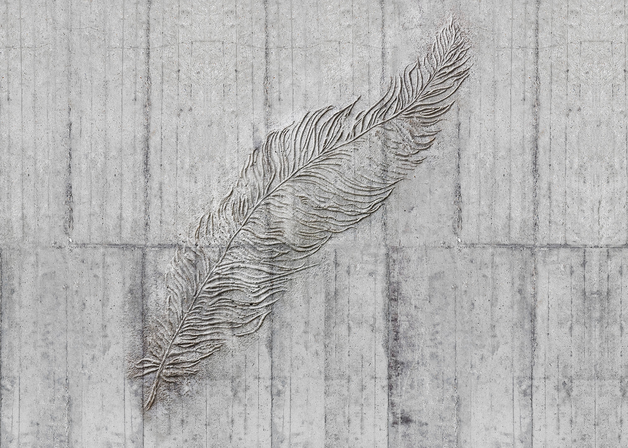 Komar Vliestapete »Concrete Feather« 350x250...