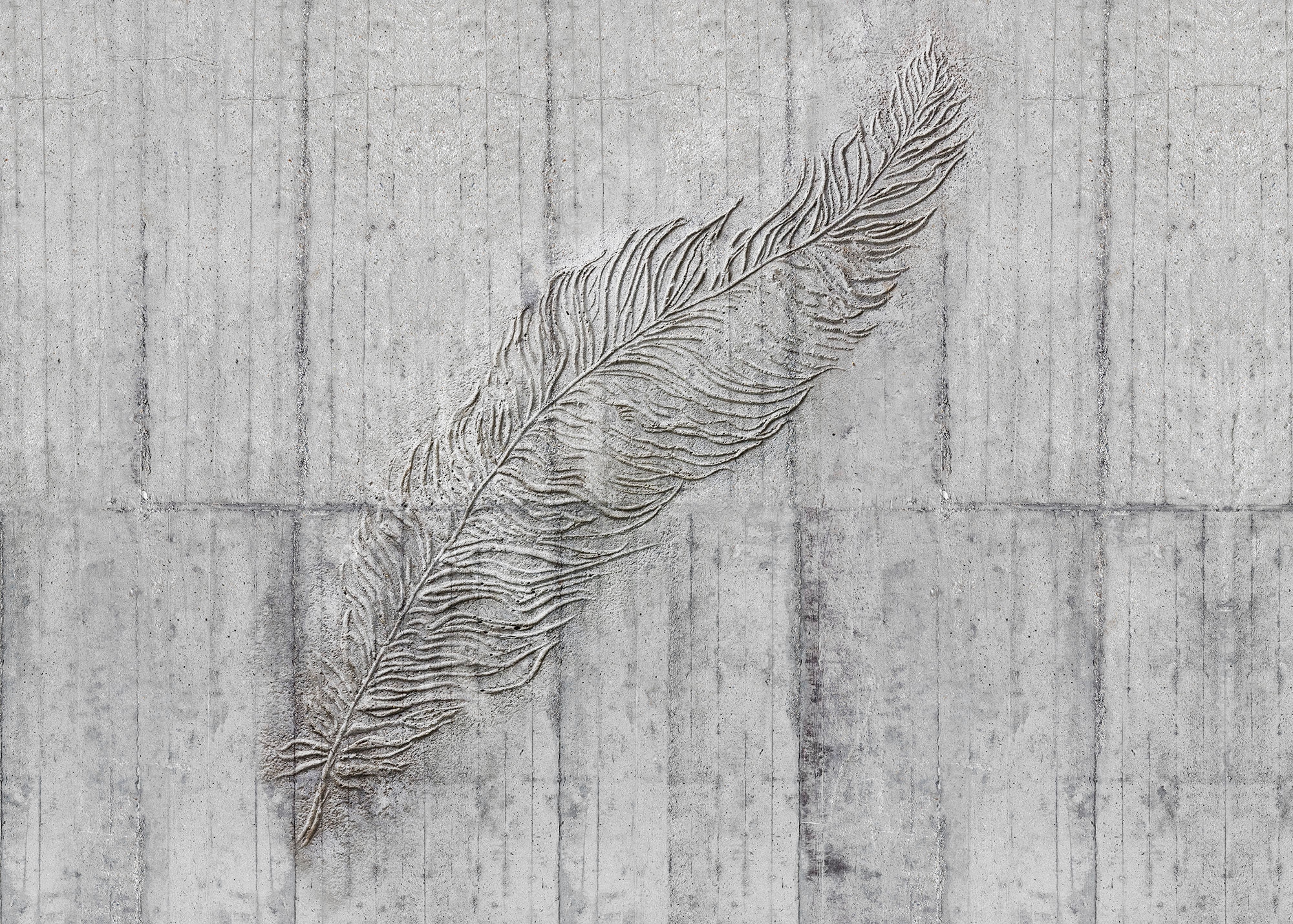Komar Vliestapete "Concrete Feather", 350x250 cm (Breite x Höhe)