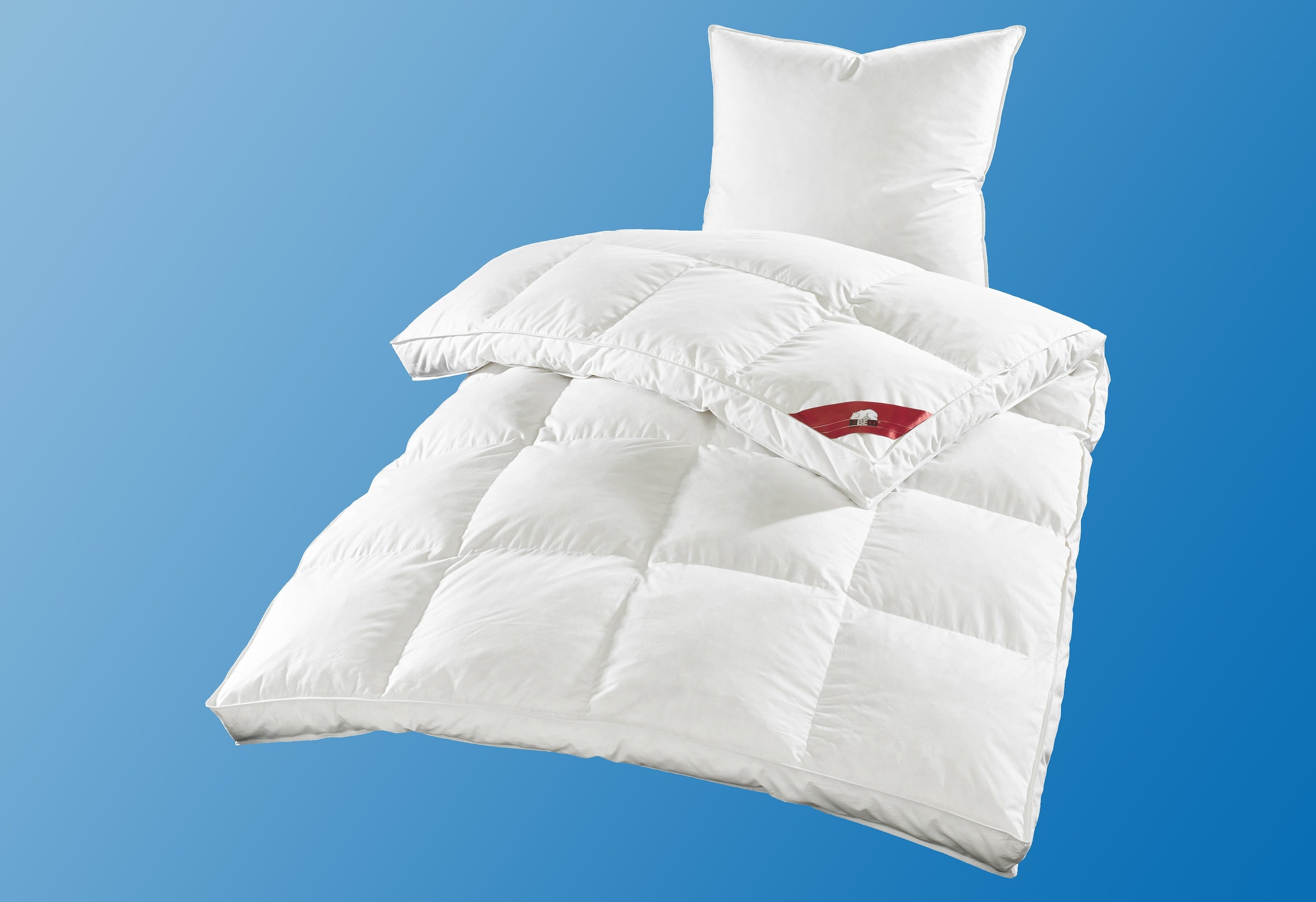 RIBECO Federbettdecke "Emily" extrawarm Füllung 100Federn 1 Stk. tlg. Mit ü günstig online kaufen