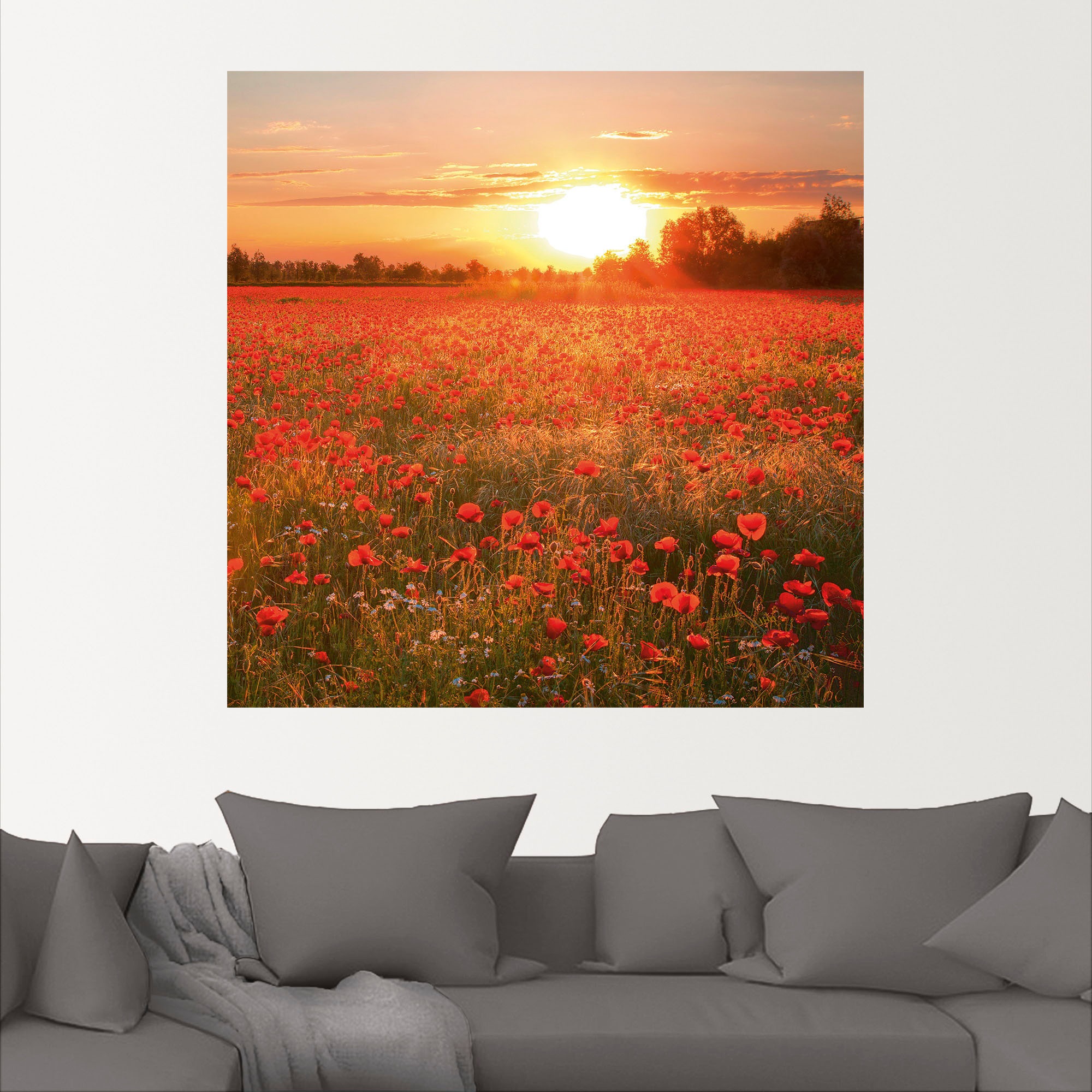 Artland Wandbild »Mohnblumenfeld bei Sonnenuntergang«, Blumenbilder, (1 St.), gedruckt