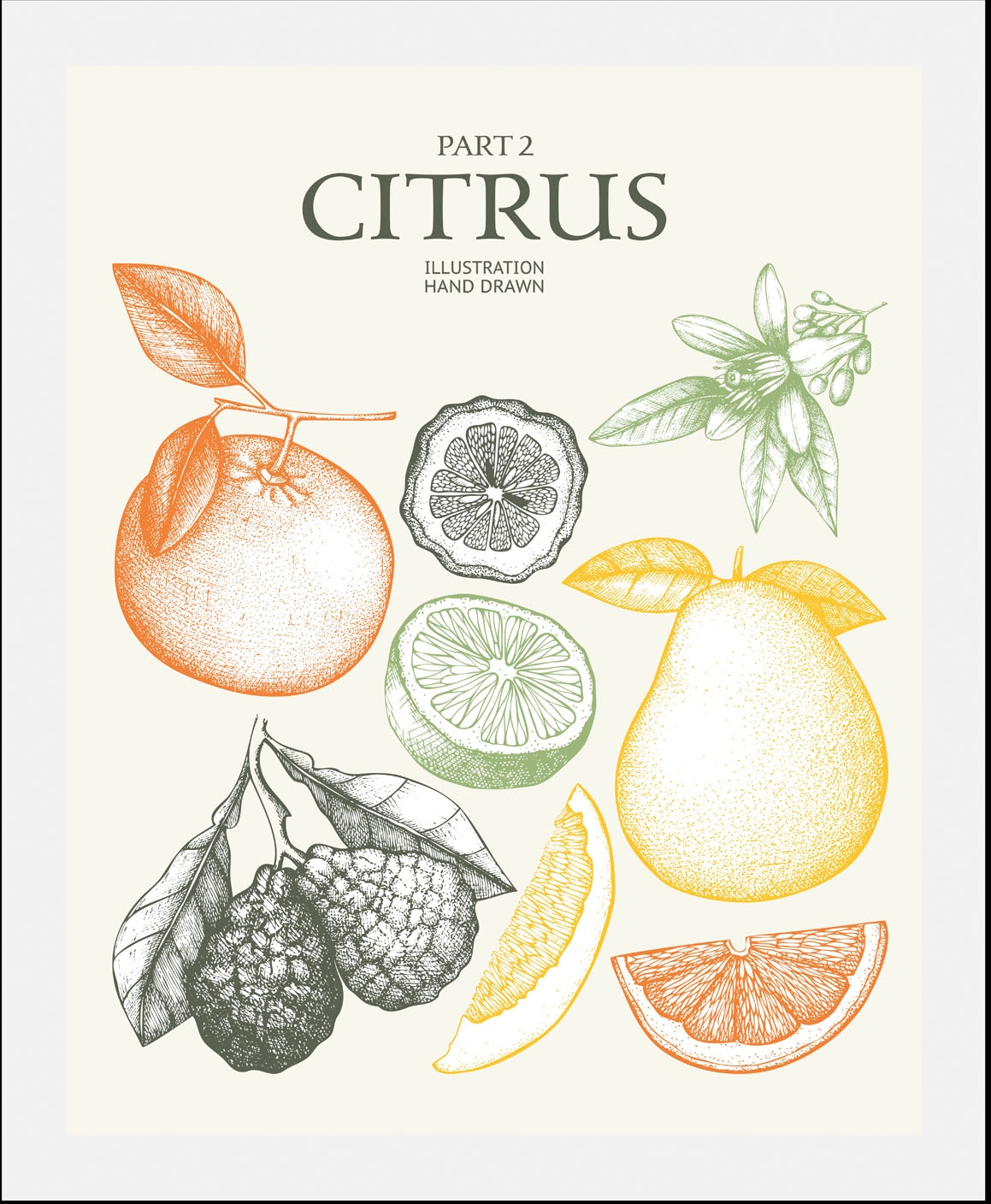 queence Bild »Citrus«, Obst-Obst Bilder-Essen-Lebensmittel-Kunst-Schriftzug-Italien-Spanien, (1 St.), HD Premium Poster-Druck inkl. Holzrahmen