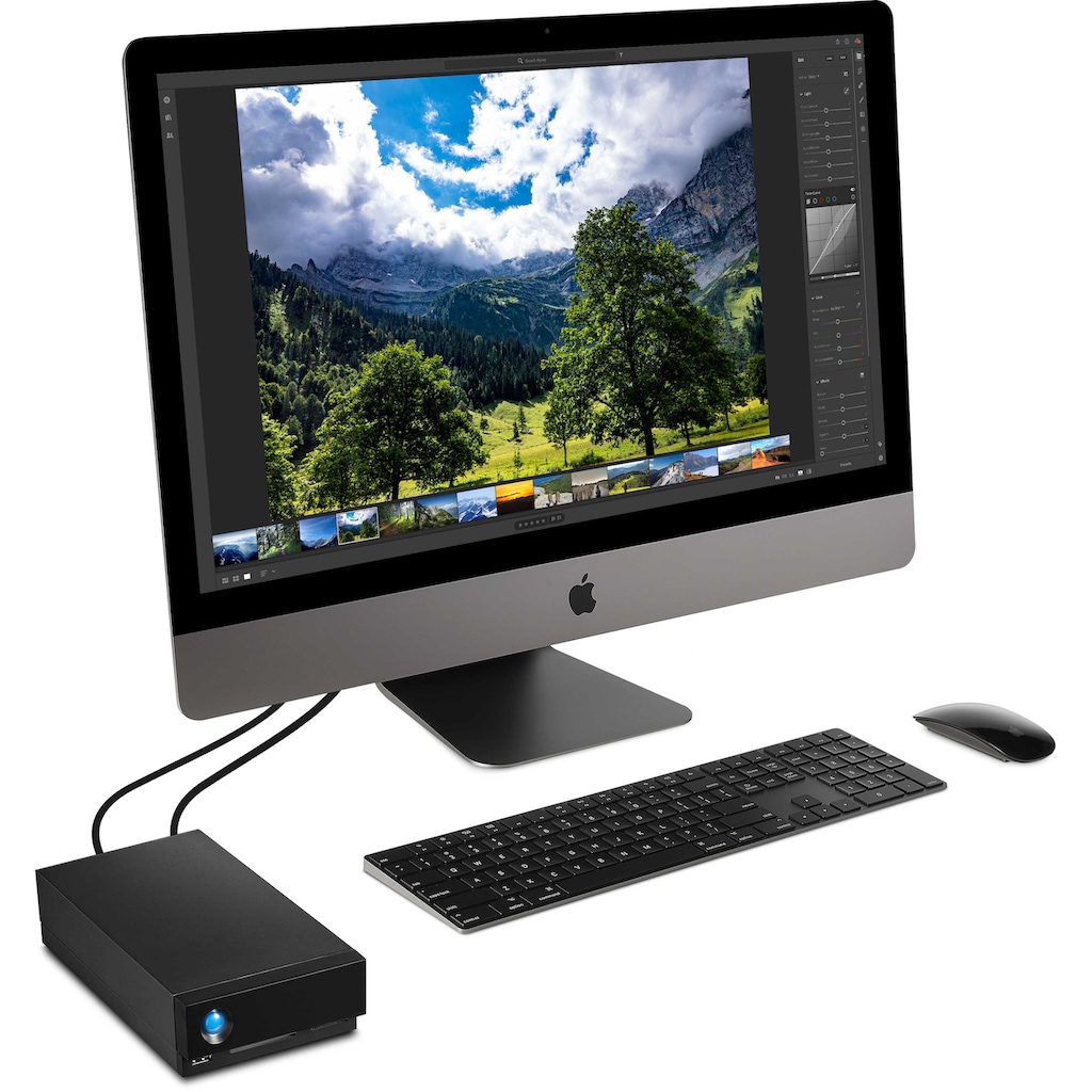 LaCie HDD-NAS-Festplatte »1big Dock«, Anschluss Thunderbolt 3-DisplayPort-SD-/CF-Kartensteckplätze-USB