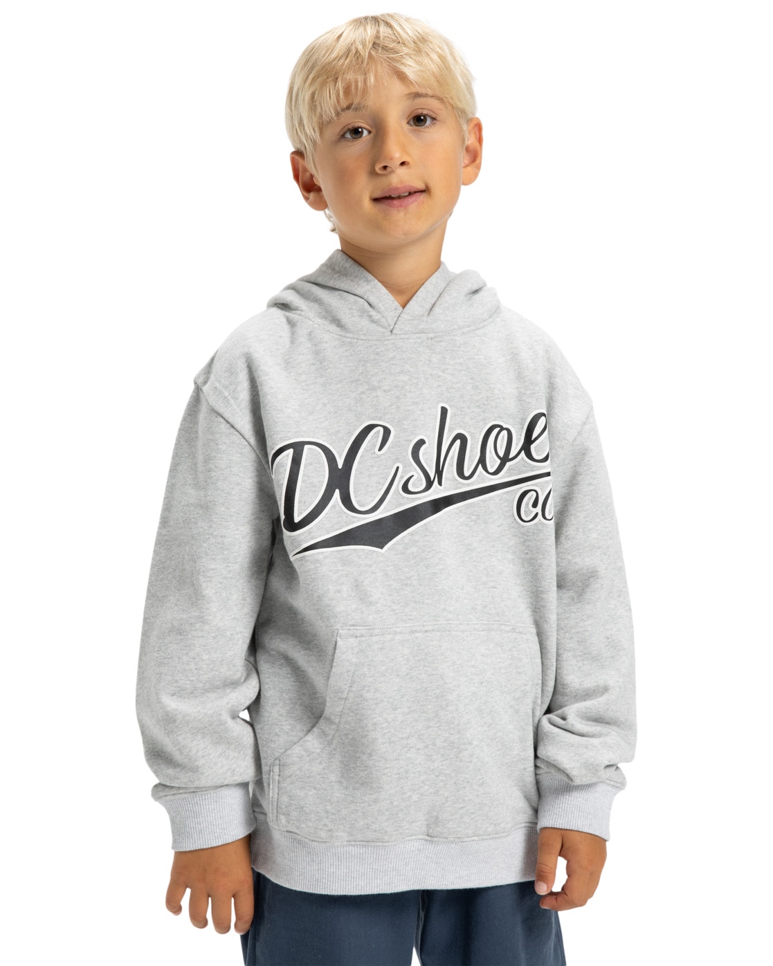 DC Shoes Hoodie "Substitute"
