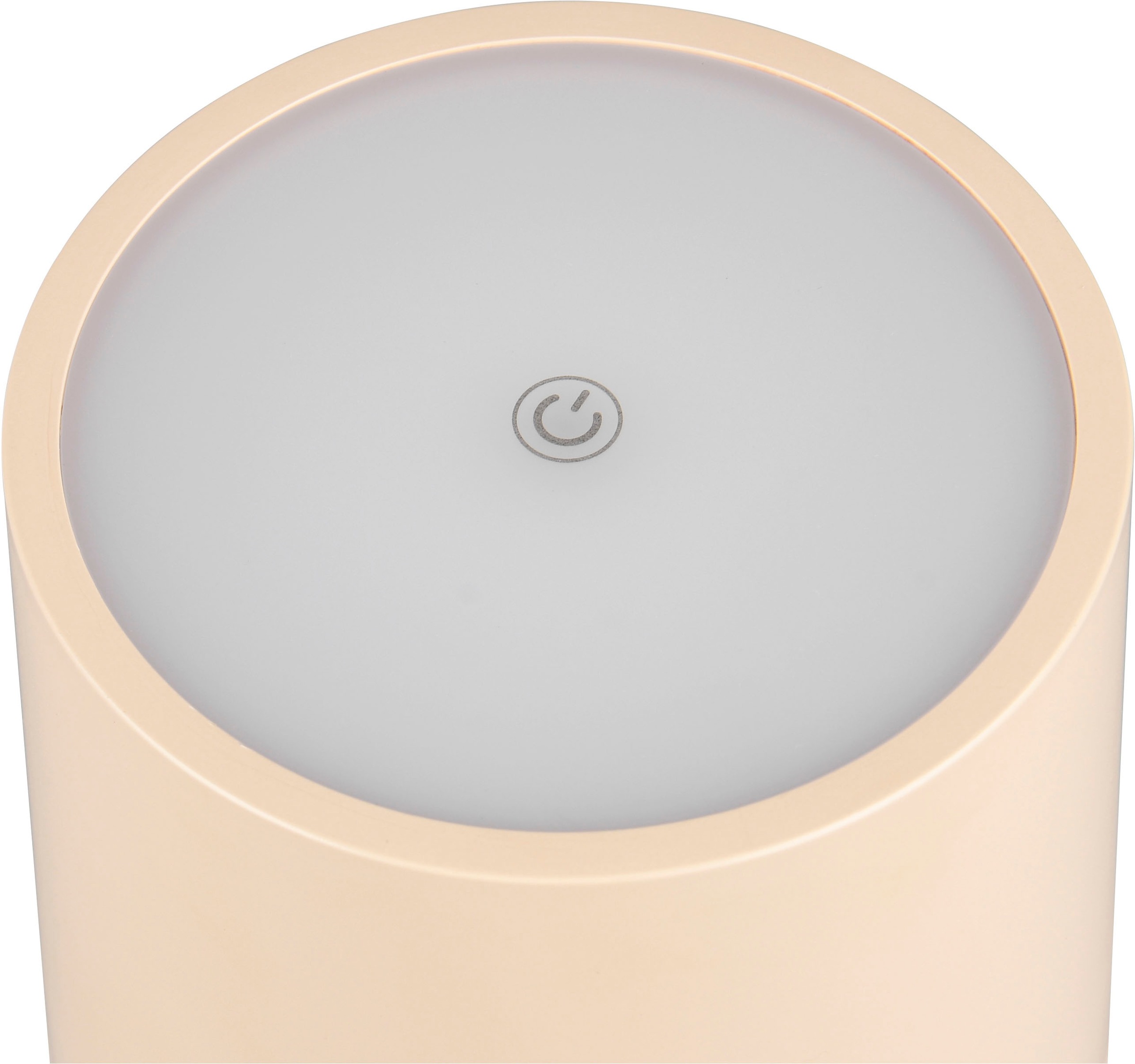 REALITY Leuchten »Fernandez« LED-Board 1 Stk. Farbwechsler | warmweiß - kaltweiß Garten Akku Tischlampe USB Ladestation dimmbar Lichtfarbe einstellbar