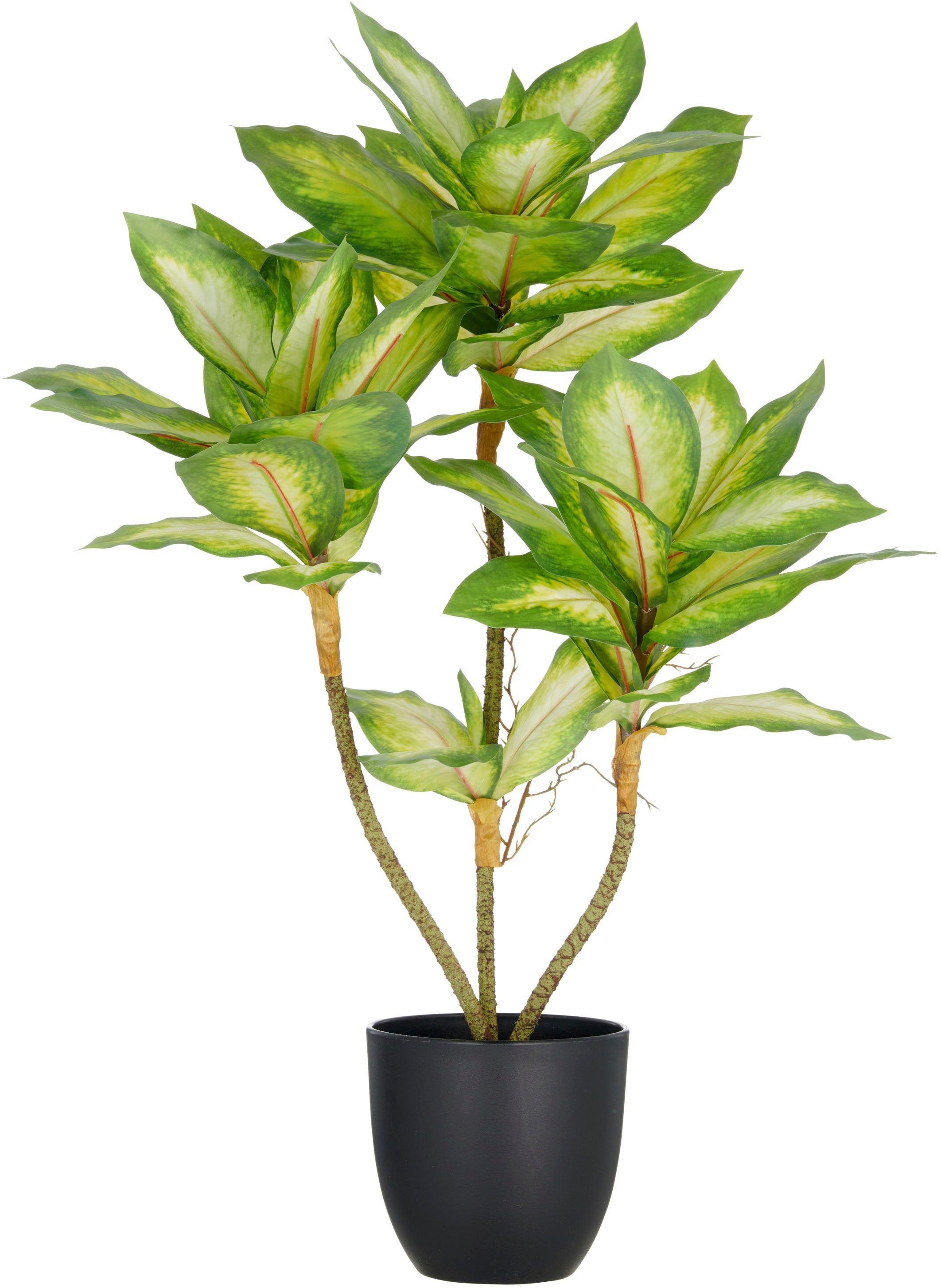 Creativ green Kunstpflanze "Dieffenbachia", mit Luftwurzeln günstig online kaufen