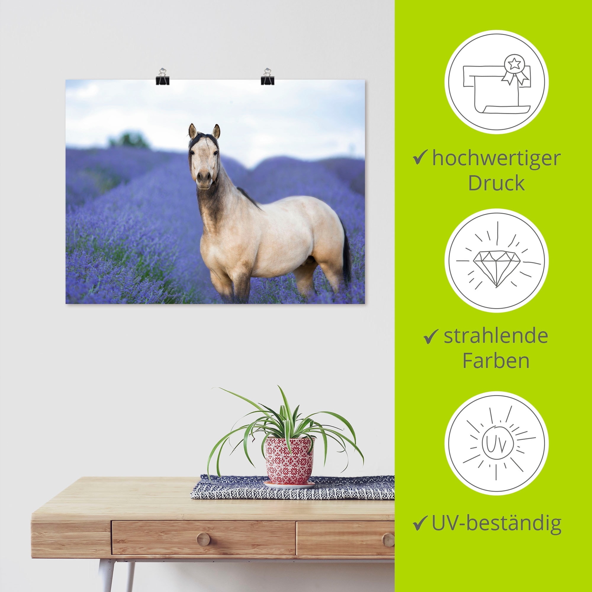 Artland Wandbild »Pferd und Blumen III«, Haustiere, (1 St.), als Leinwandbild, Poster in verschied. Größen