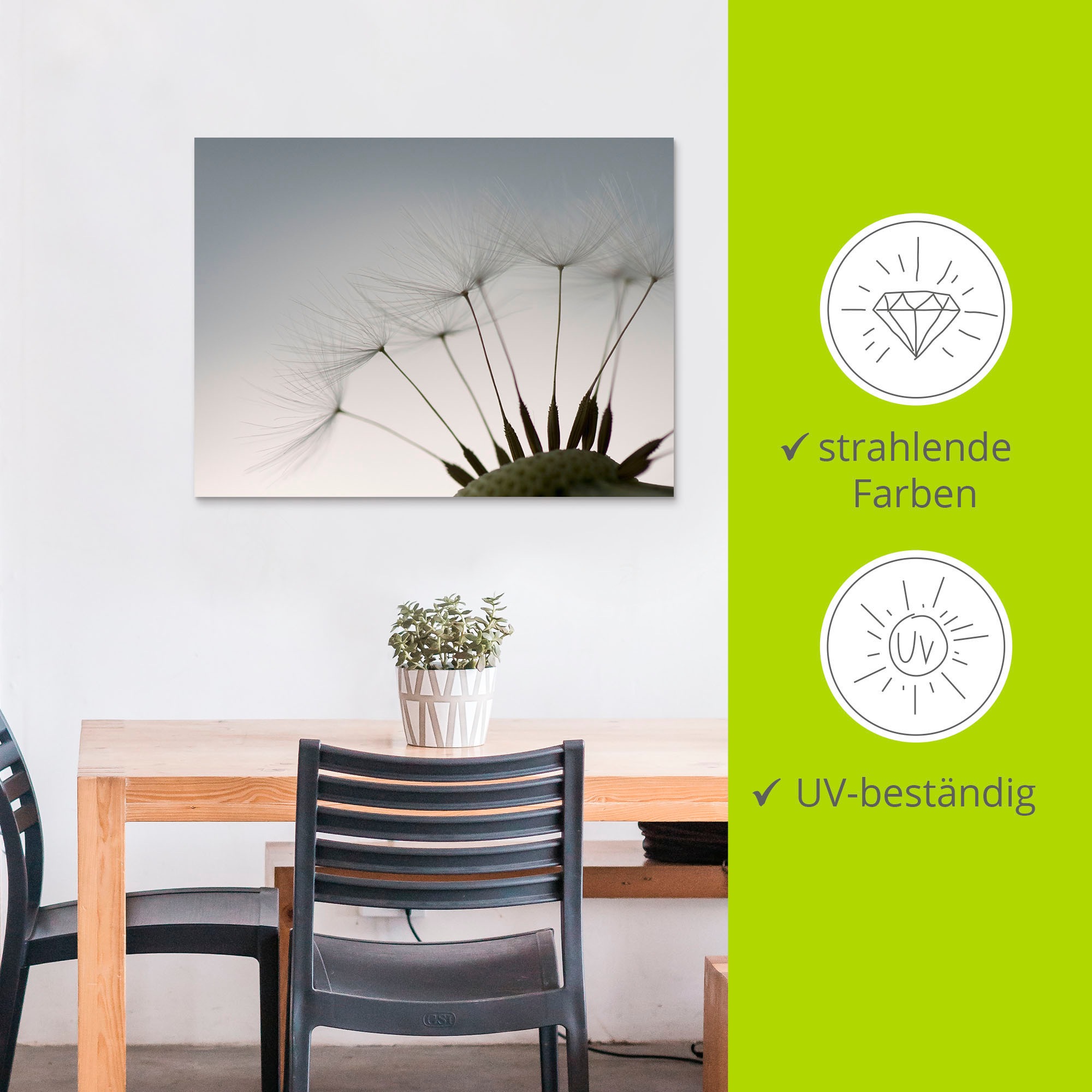 Artland Wandbild »Pusteblumen-Samen I«, Blumen, (1 St.), als Alubild, Outdoorbild, Leinwandbild, Poster in verschied. Größen