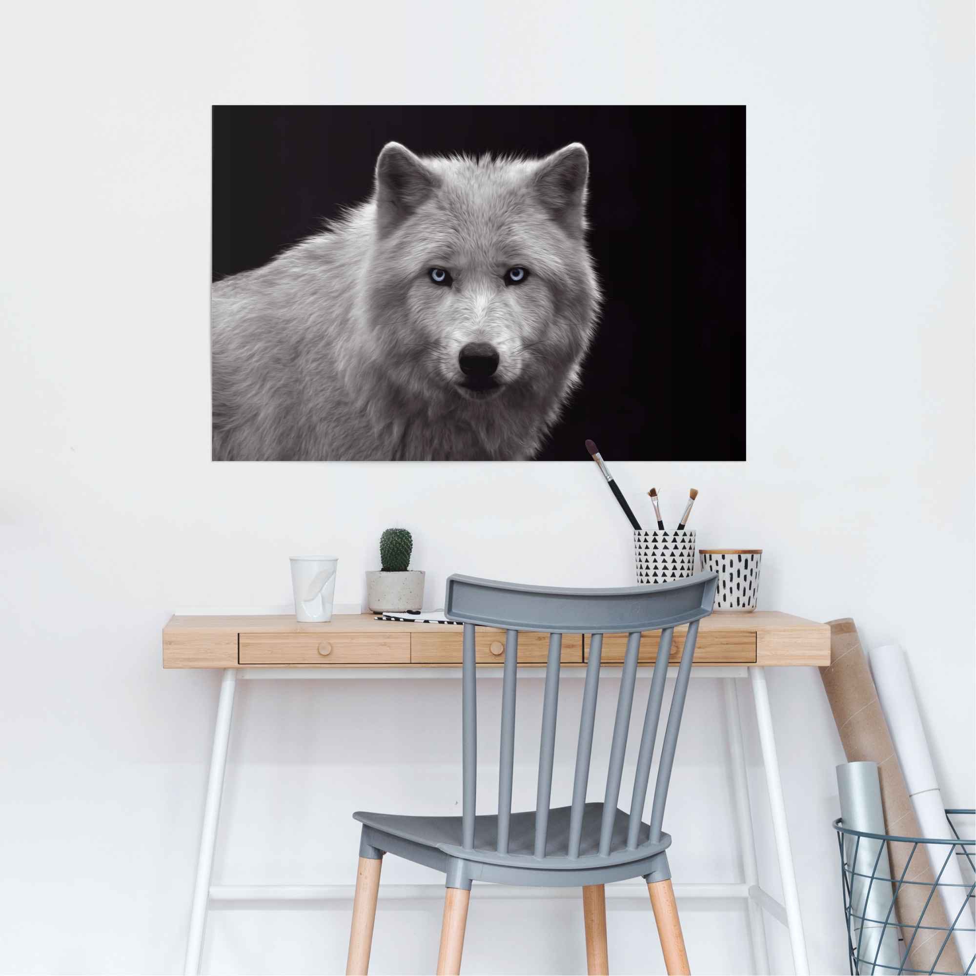 Reinders Poster "Weißer Wolf", (1 St.) günstig online kaufen