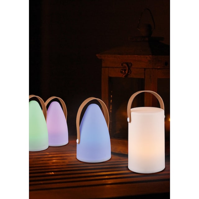 TRIO Leuchten LED Außen-Tischleuchte »Aruba«, 1 flammig-flammig, für Innen-  und Aussenbereich, RGB-Farbwechsel, IP44, Gartenleuchte bestellen | BAUR