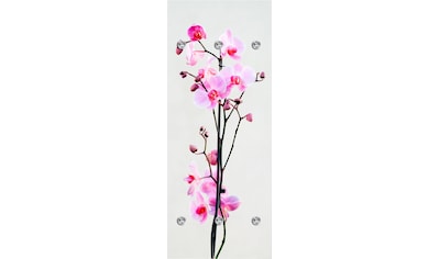 queence Garderobenleiste »Orchidee«, mit 6 Haken, 50 x 120 cm kaufen
