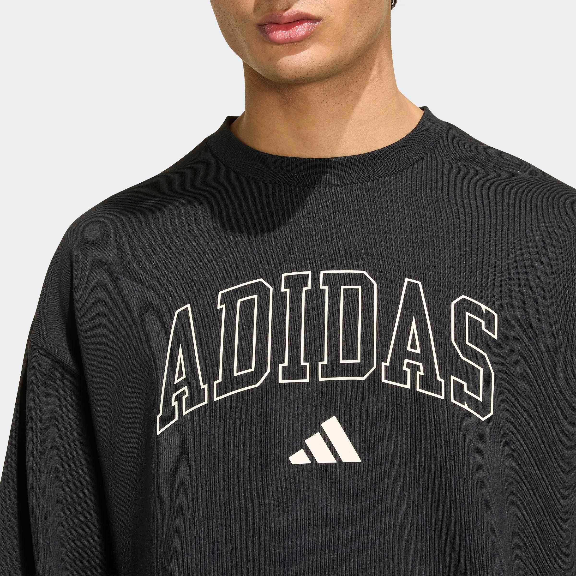 adidas Sportswear Sweatshirt »SEASONAL ESSENTIALS COLLEGIATE FRENCH TERRY CREW«
