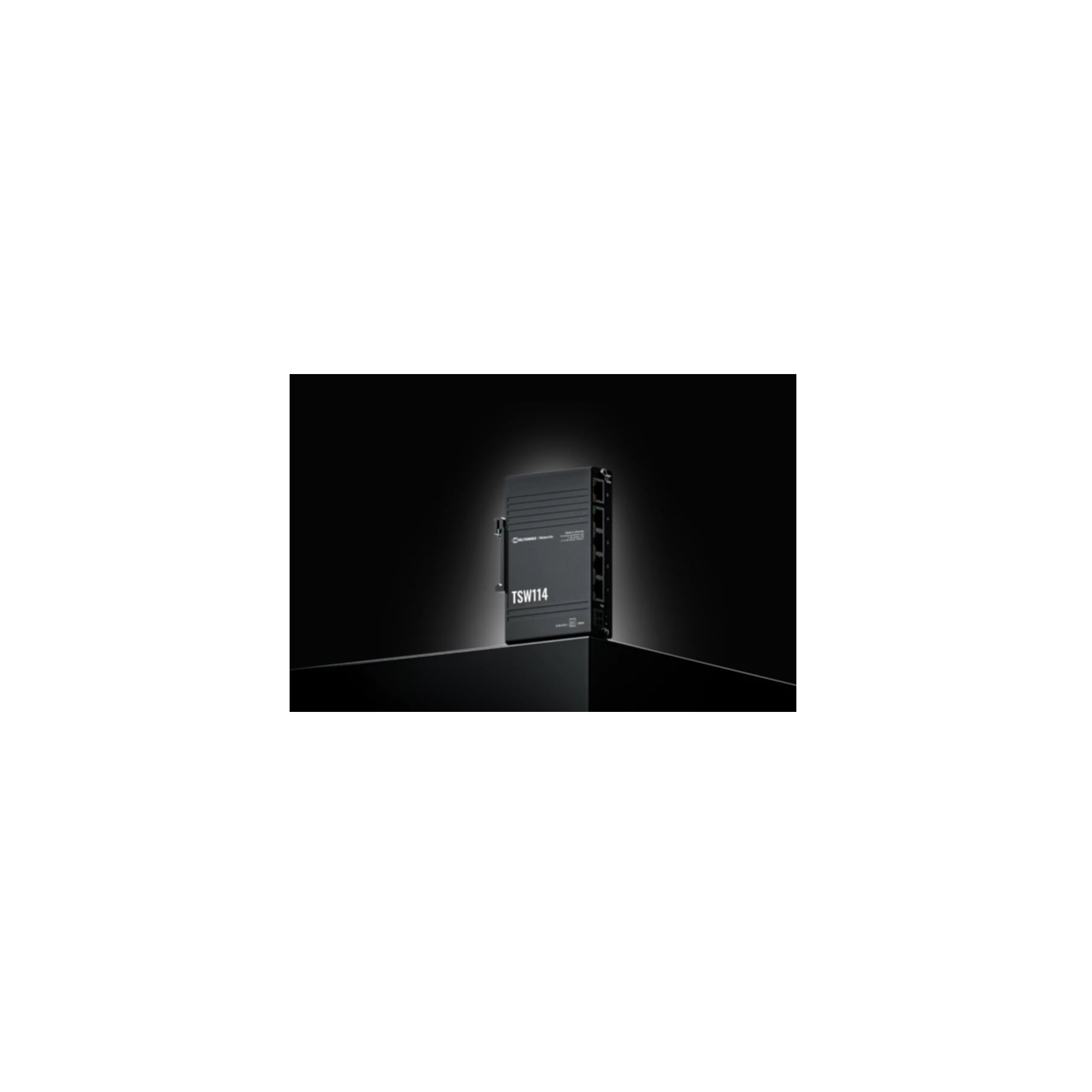 Teltonika Netzwerk-Switch »TSW114000000«