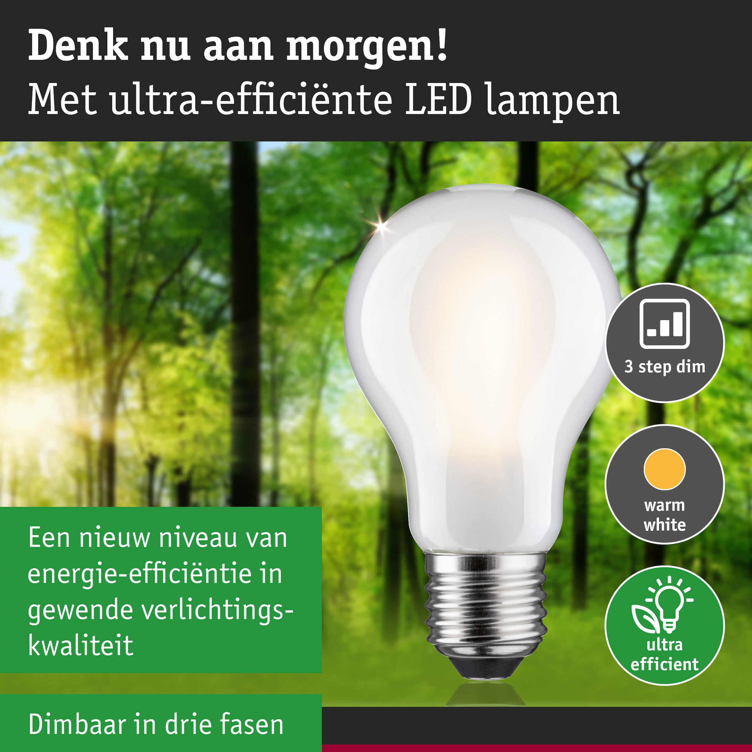 Paulmann LED-Leuchtmittel »Eco-Line Filament 230V LED Birne E27 470lm 2,5W 3000K dimmbar Matt«, E27, 1 St., Warmweiß