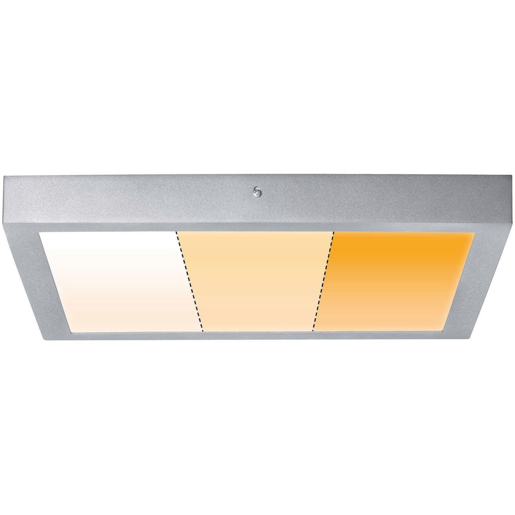 Paulmann LED Deckenleuchte »Carpo«, 1 flammig-flammig, LED-Modul, LED Deckenlampe