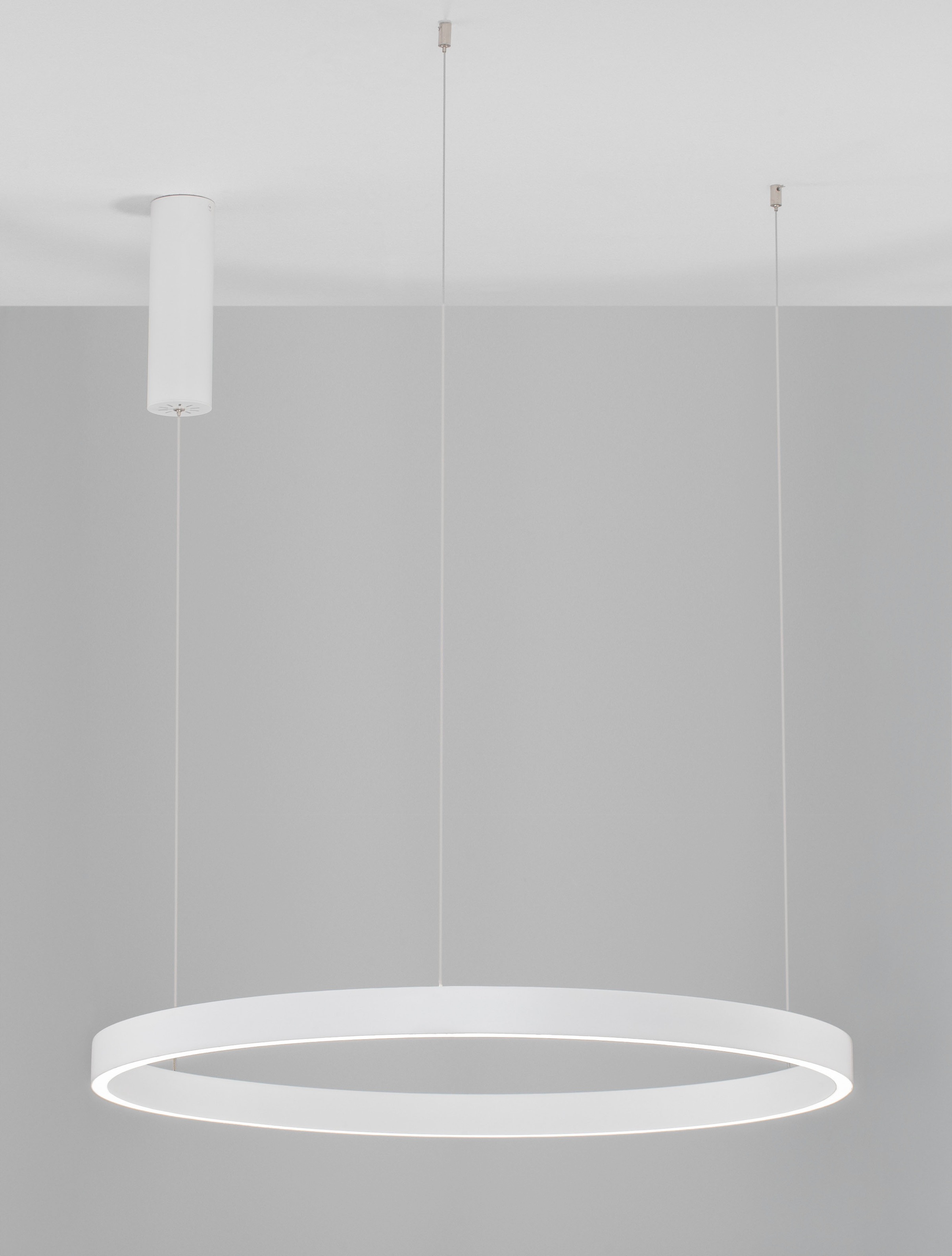 Nova Luce LED-Hängeleuchte »ELOWEN« LED-Modul 1 Stk. Warmweiß Dimmbar; Höhenverstellbar; Mit Leuchtmittel