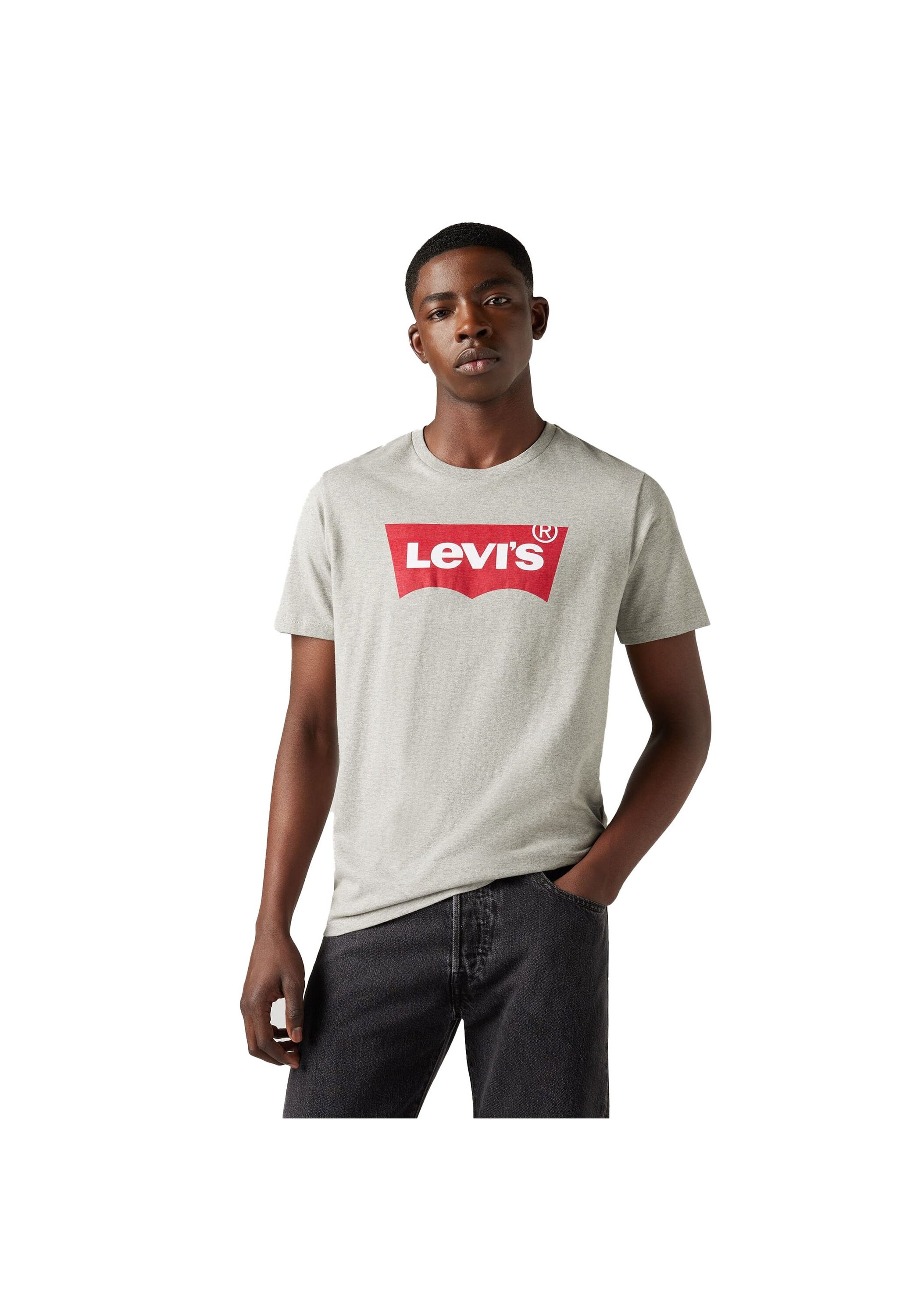 Levi's® T-Shirt »T-Shirt Graphic Set-In Neck 1er Pack«