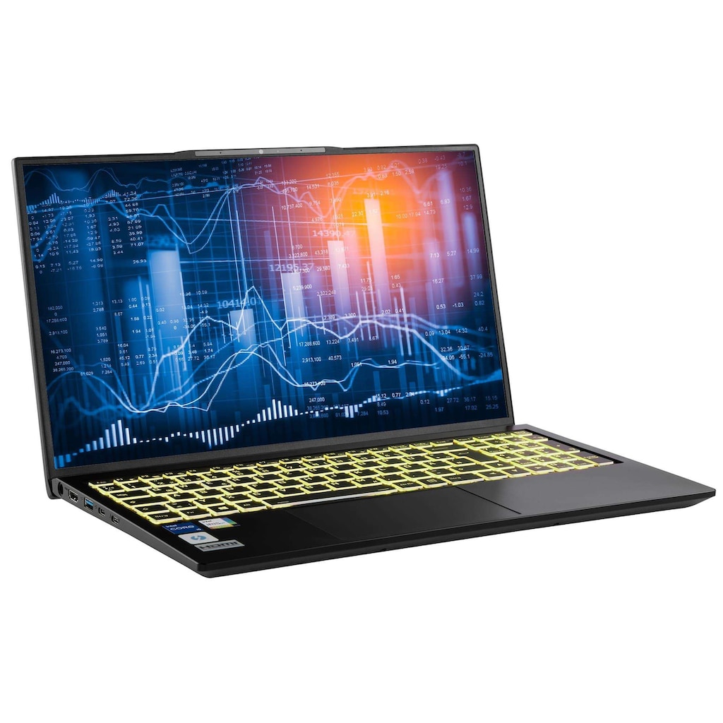 CAPTIVA Business-Notebook »Power Starter I76-122«, 43,94 cm, / 17,3 Zoll, Intel, Core i5, 1000 GB SSD