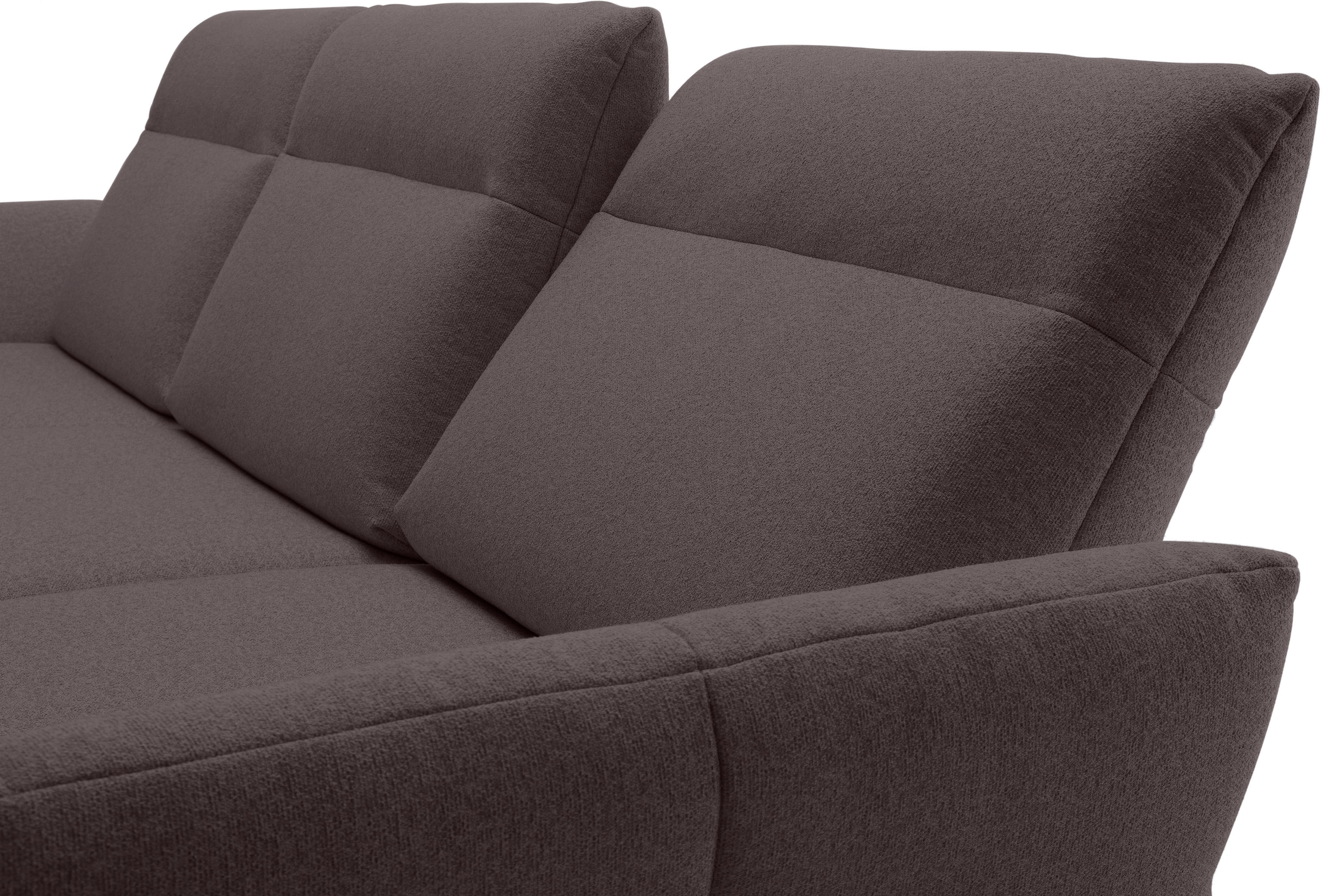 Creation BY ROLF BENZ Ecksofa »CR.460«, Sockel in Eiche, Winkelfüße in Umbragrau, Breite 318 cm