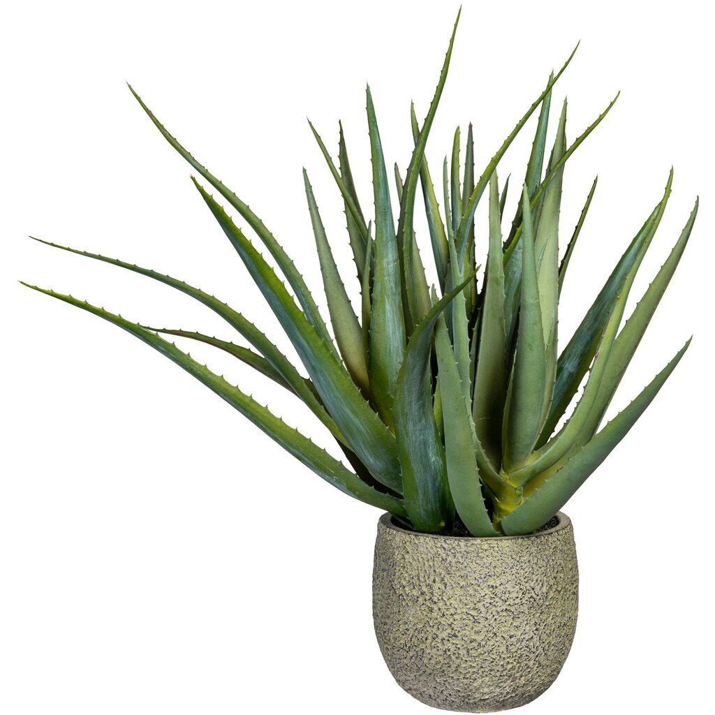 Creativ green Künstliche Zimmerpflanze »Deko-Sukkulente Aloe«
