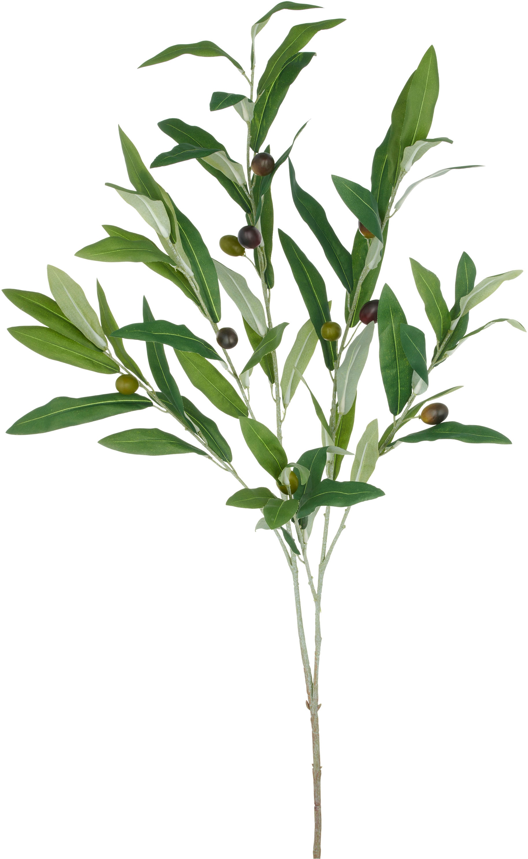 Creativ green Kunstzweig "Olive", mit detailgetreuer Gestaltung günstig online kaufen