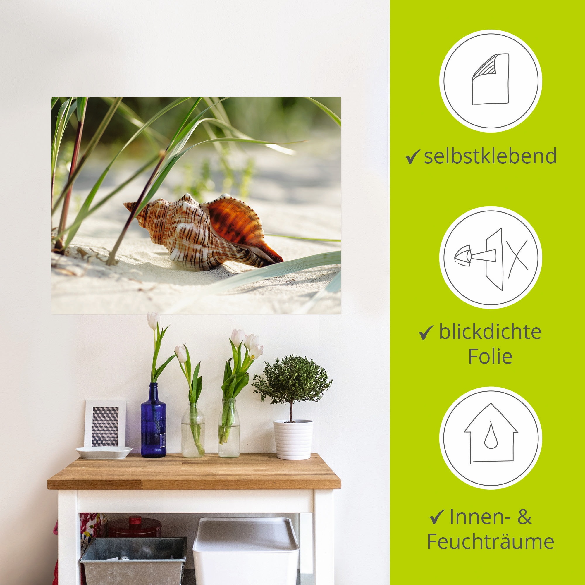 Artland Wandbild »Große Muschel am Strand«, Wassertiere, (1 St.), als Leinwandbild, Poster, Wandaufkleber in verschied. Größen