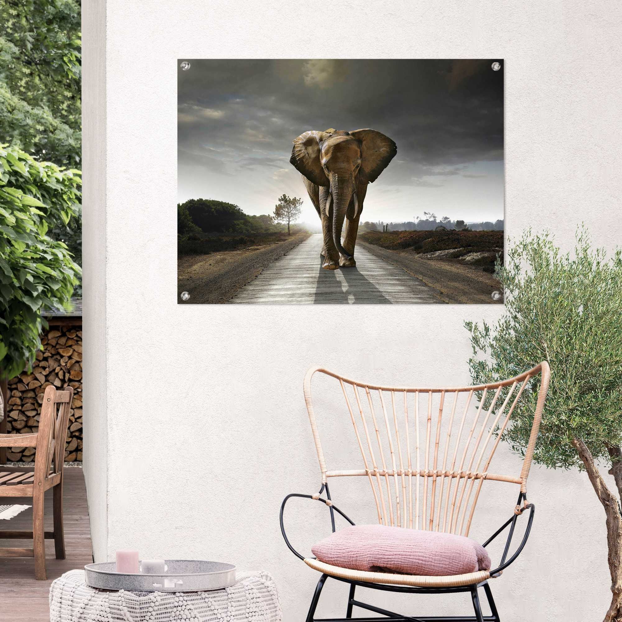 Reinders Poster "Elefantenkönig", Outdoor für Garten oder Balkon günstig online kaufen