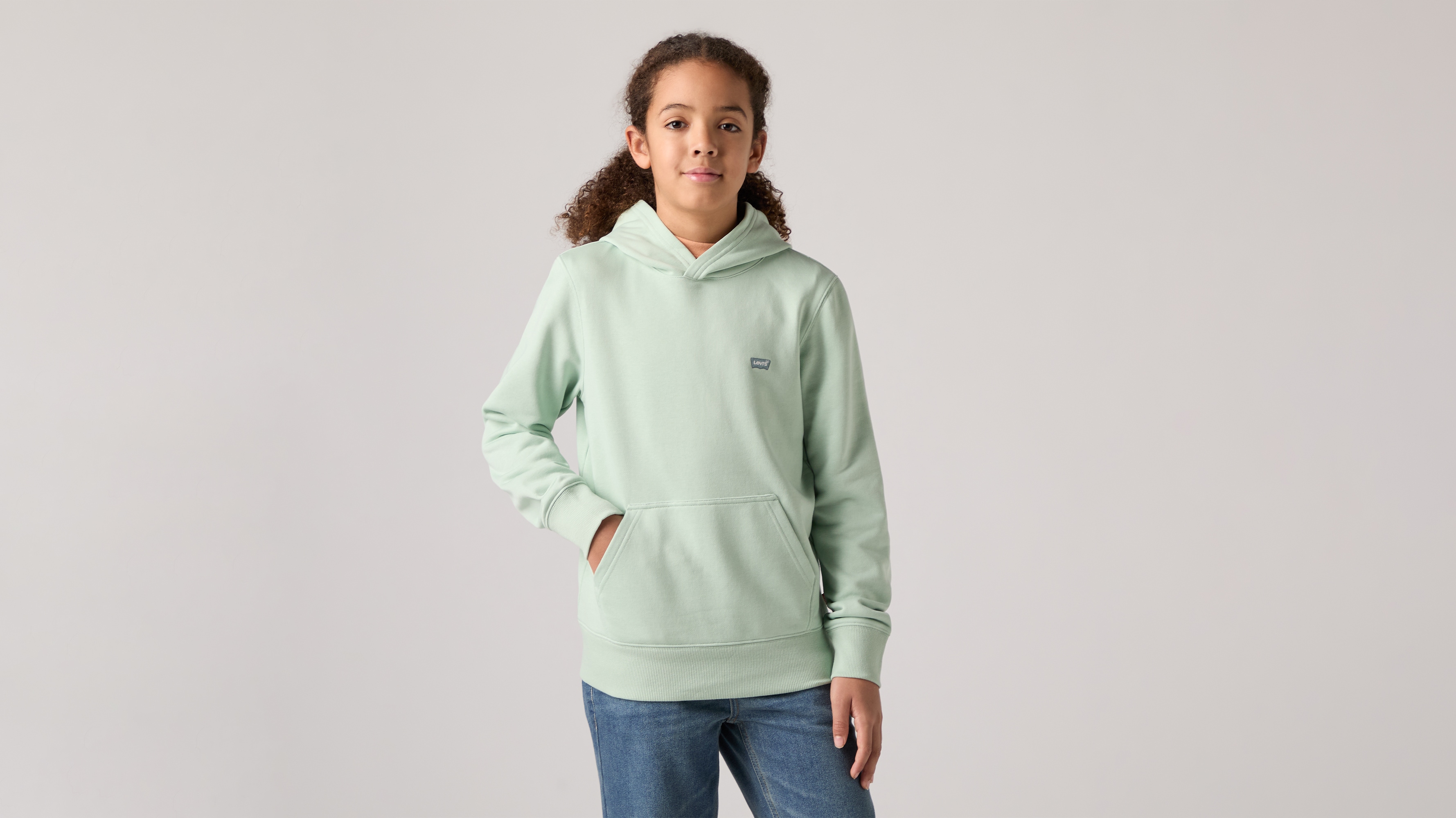 Levis Kids Hoodie "LVB MINI BATWING PULL OVER HOO", for BOYS