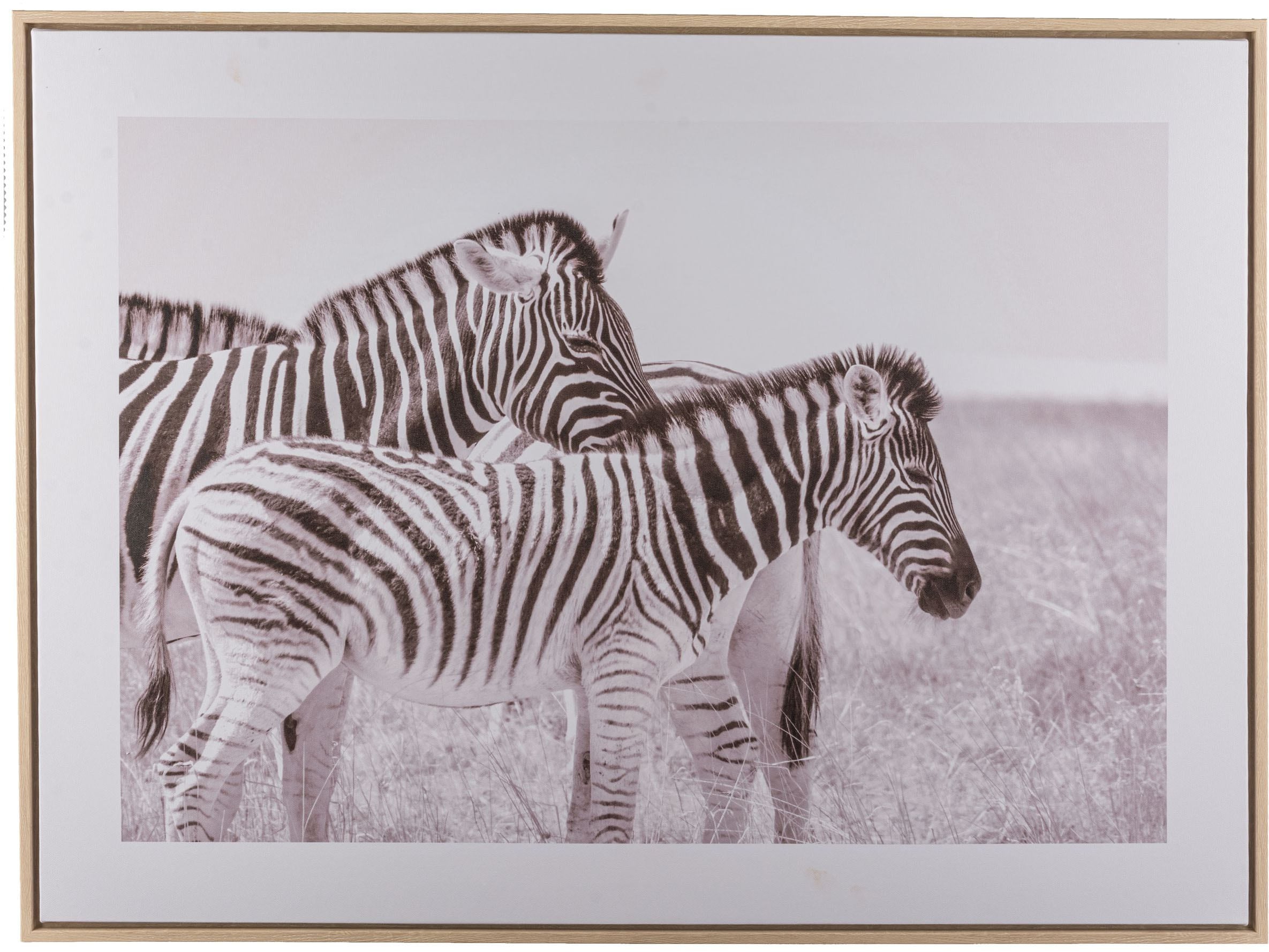 Creativ home Bild mit Rahmen "Zebra", (1 St.), mit schwarz-weißem Motiv günstig online kaufen