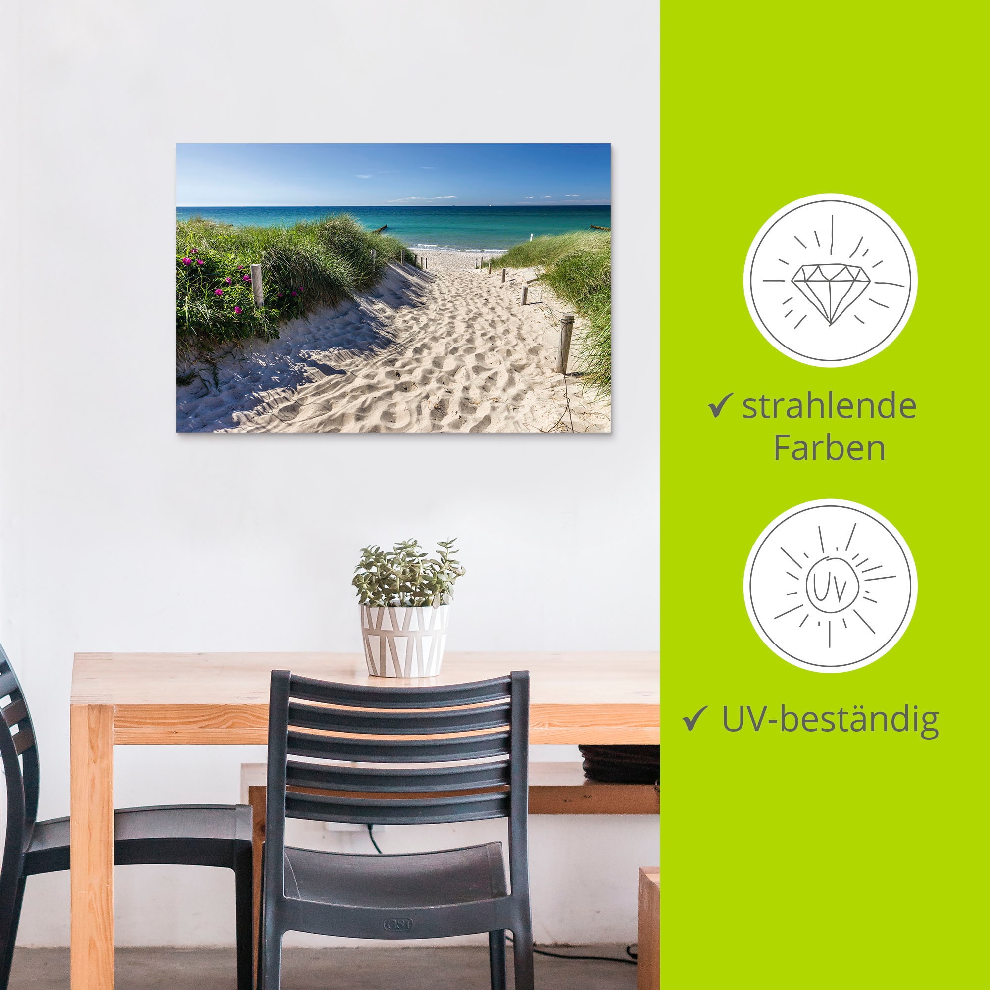 Artland Wandbild »Weg zum Strand an der Ostsee«, Strandbilder, (1 St.), als Alubild, Outdoorbild, Leinwandbild, Poster, Wandaufkleber
