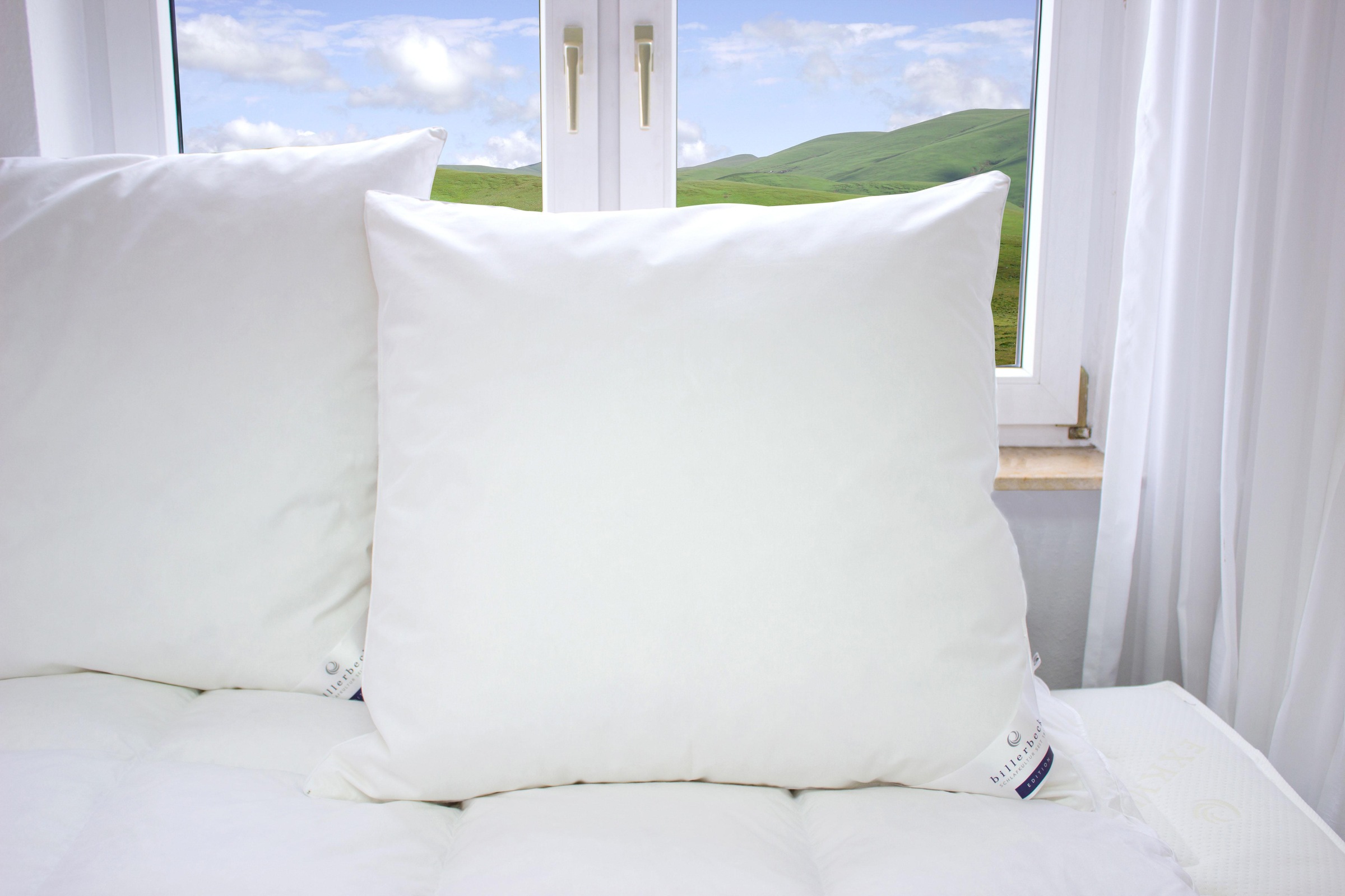 billerbeck Federkissen "Erina 15, Kissen ist Allergiker freundlich (Haussta günstig online kaufen