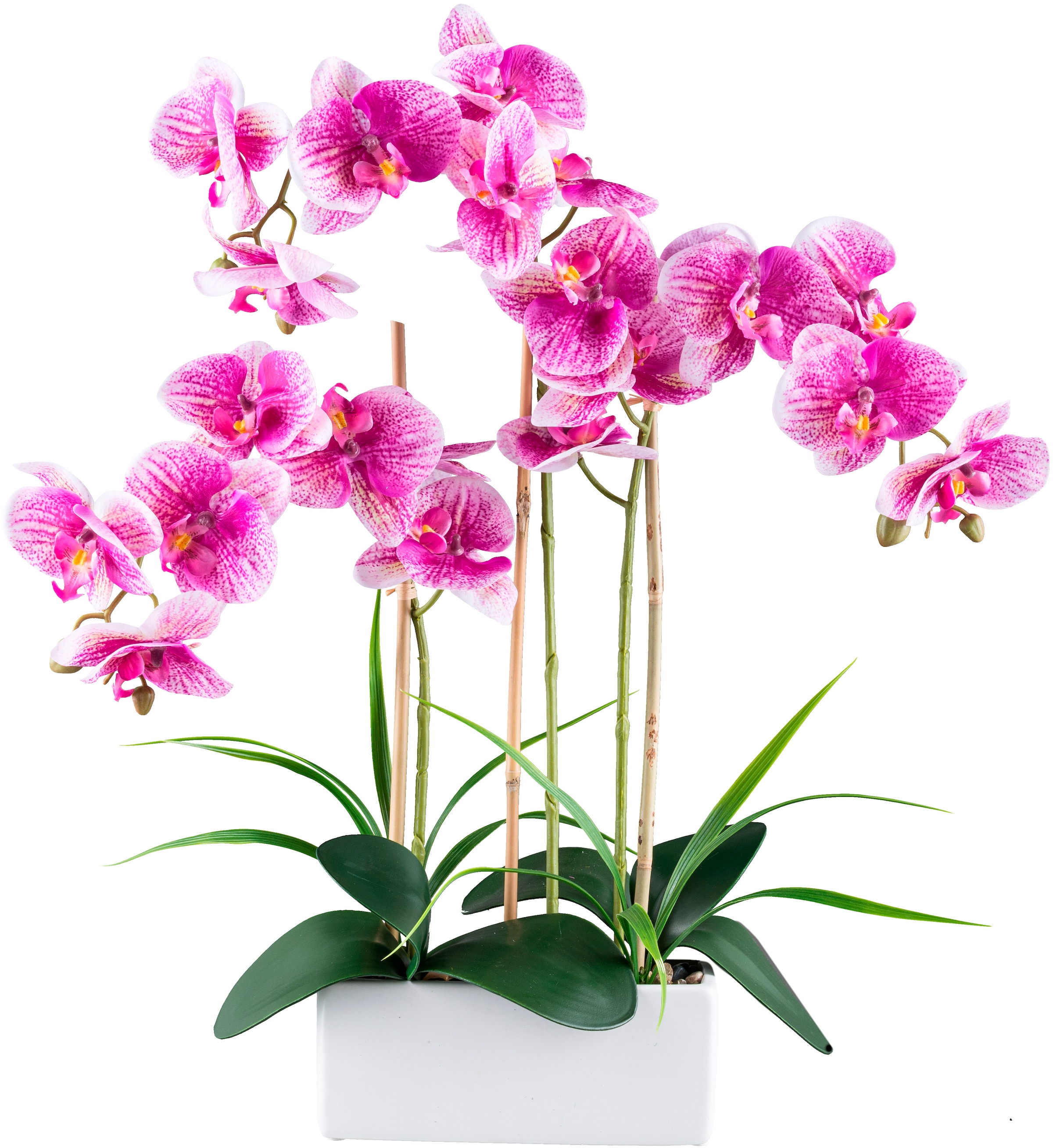 Kunstorchidee »Orchidee Phalaenopsis«, mit Graszweigen arrangiert