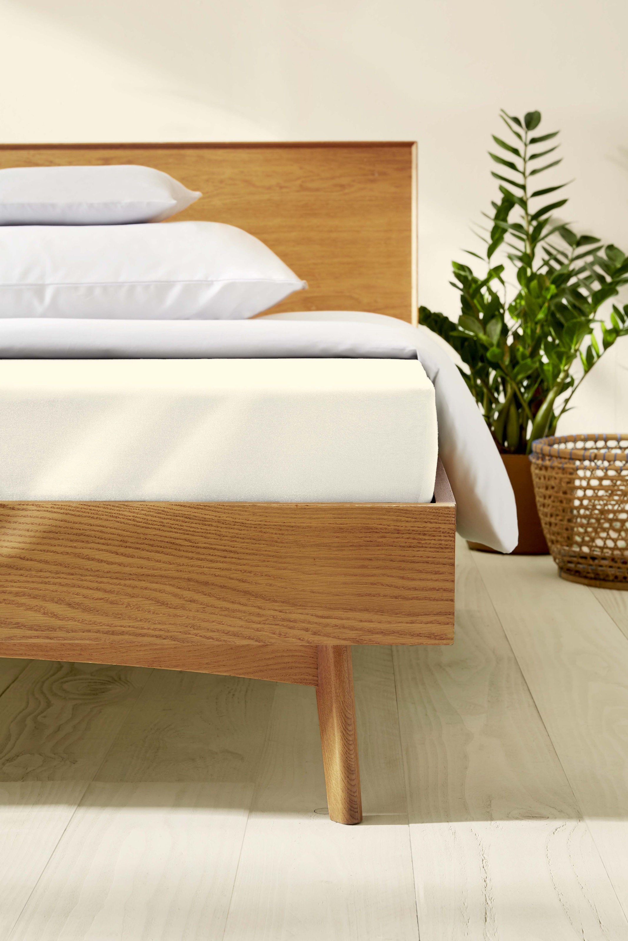 Kaeppel Spannbettlaken »Single Jersey Mako Cotton«, Bettlaken aus 100% Baumwolle