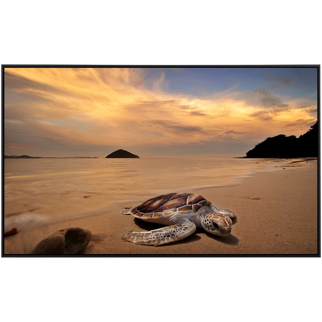 Papermoon Infrarotheizung »Schildkröte am Strand«