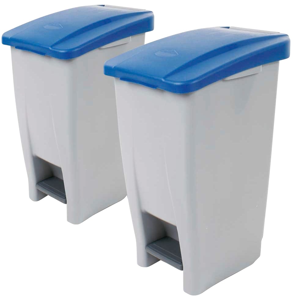 Mülleimer, 2 Behälter, BxTxH 380 x 490 x 700 mm, Deckelfarbe blau, 2 Stk
