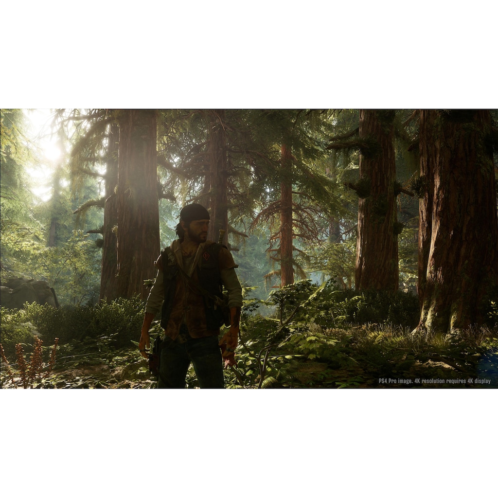 PlayStation 4 Spielesoftware »Days Gone«, PlayStation 4