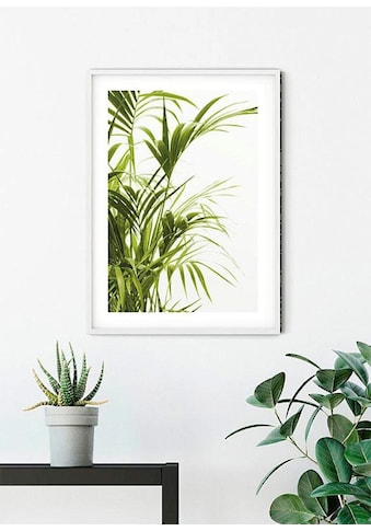 Komar Poster »Reed Leaves« Pflanzen-Blätter ...