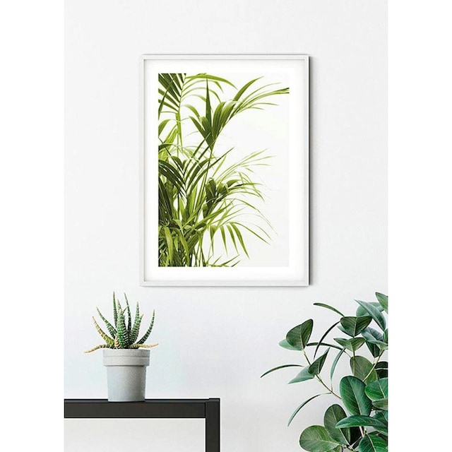 Komar Poster »Reed Leaves«, Pflanzen-Blätter, (1 St.), Kinderzimmer,  Schlafzimmer, Wohnzimmer | BAUR