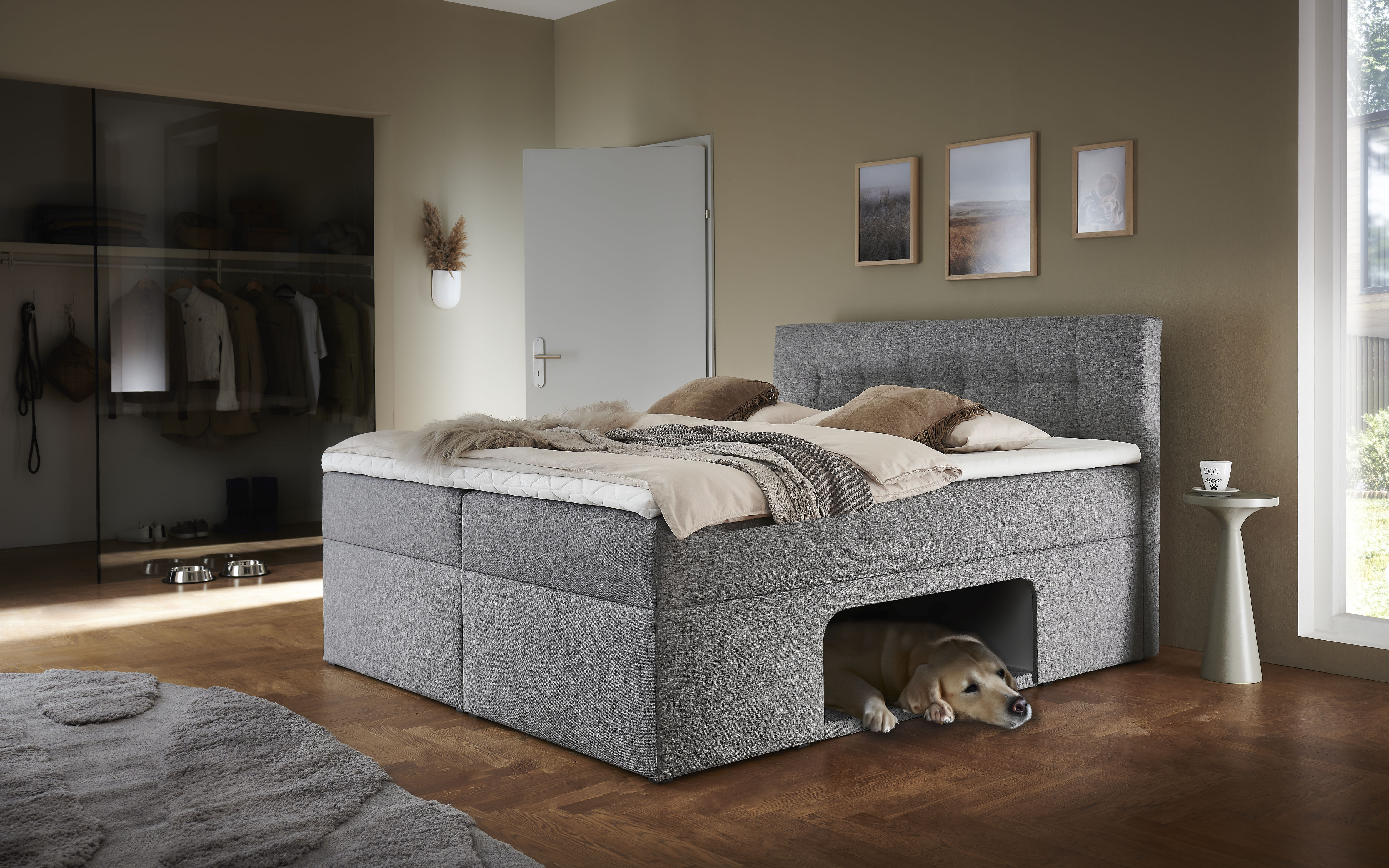 Home affaire Boxbett "Carolin" mit Nische inkl. gepolsterter Unterlage für Haustiere