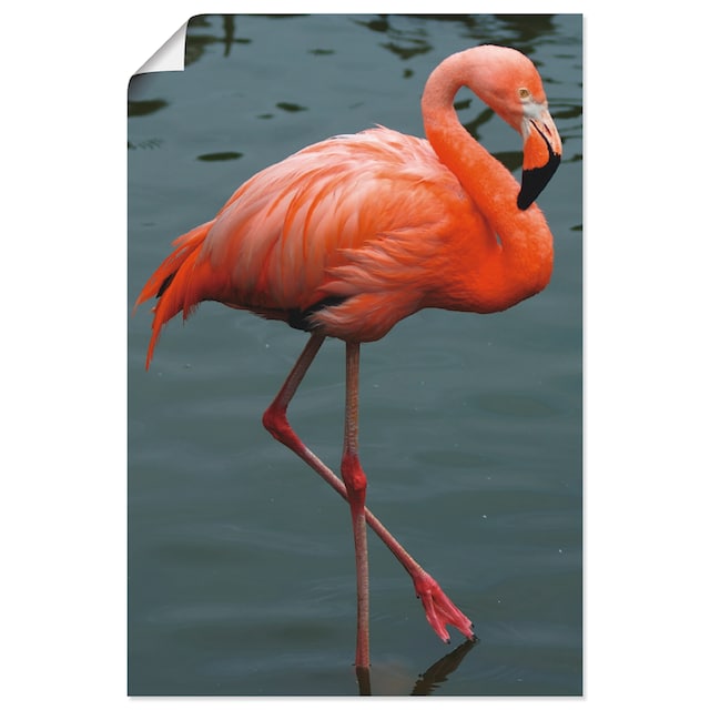 Artland Wandbild »Flamingo Balance«, Vögel, (1 St.), als Leinwandbild,  Wandaufkleber oder Poster in versch. Größen kaufen | BAUR