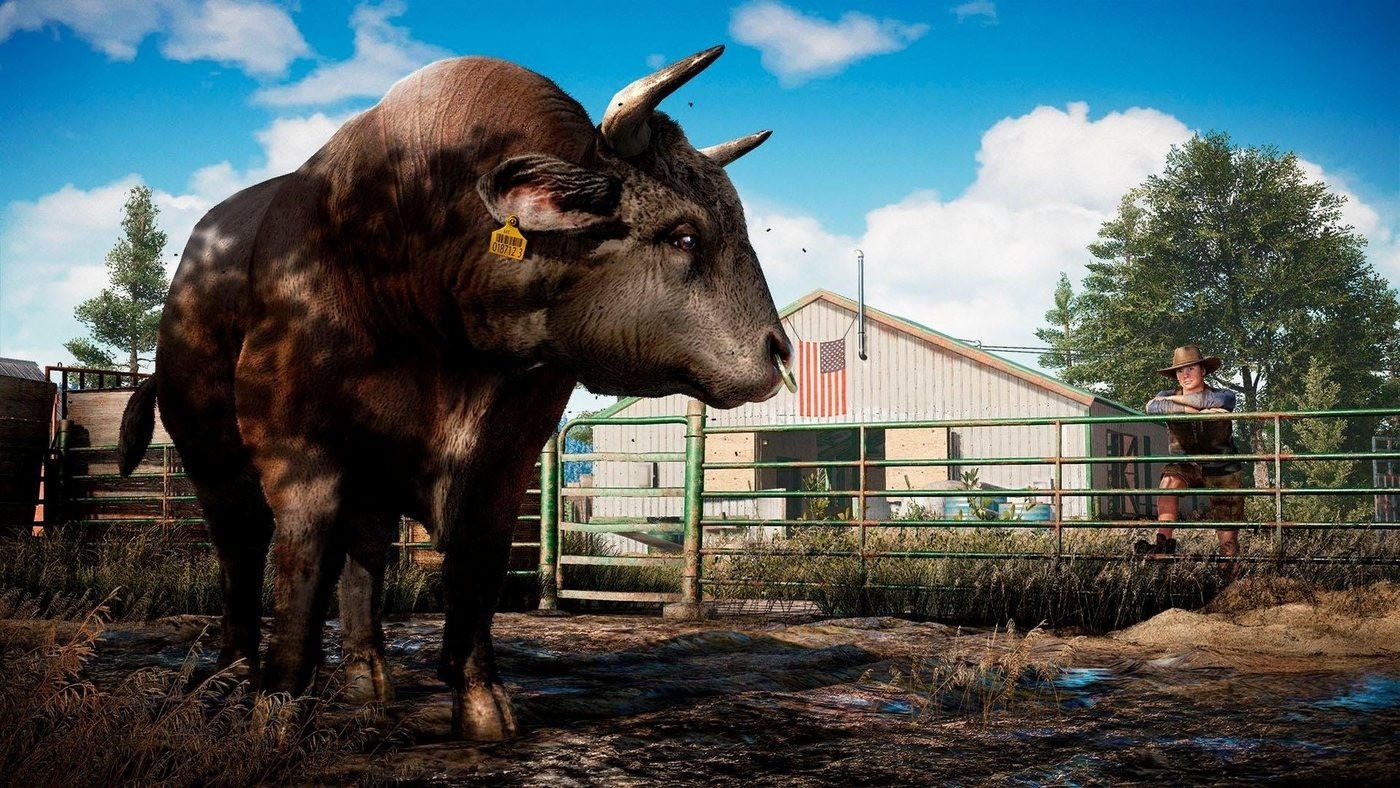 UBISOFT Spielesoftware »Far Cry 5«, PC